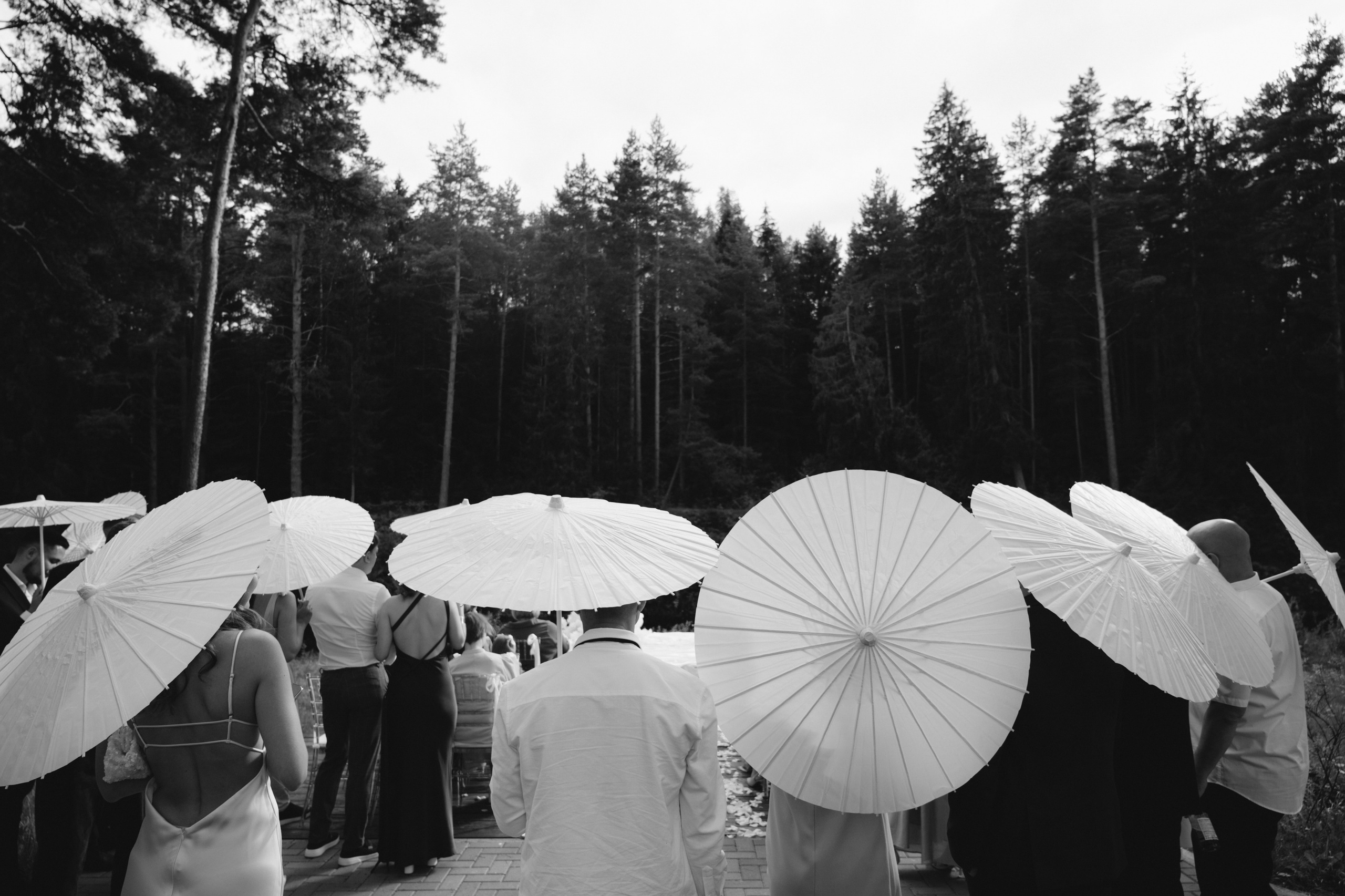 Anastasia & Vadim. Свадебный и семейный фотограф Вероника Холод