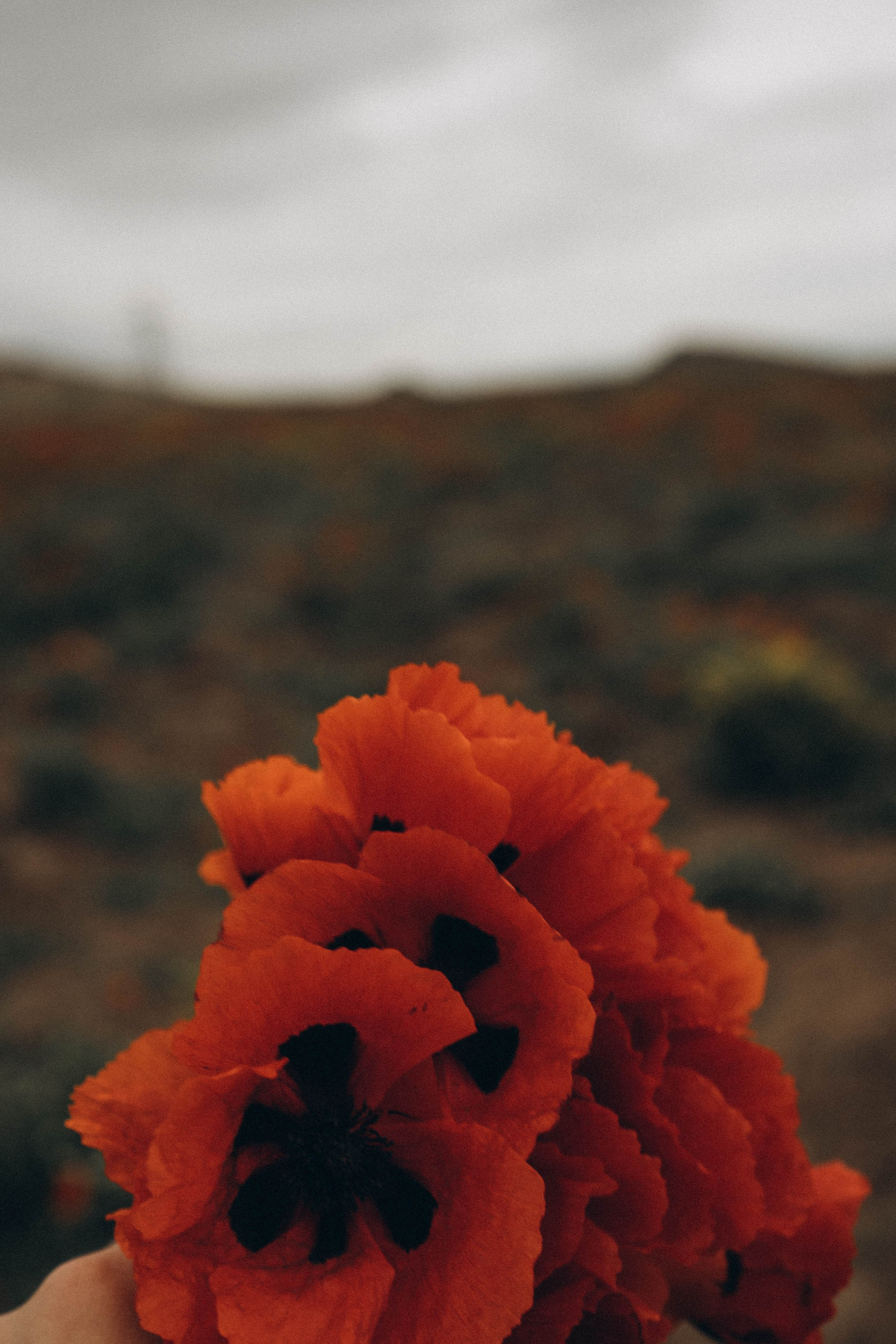 Путешествие в Дагестане. Профессиональный фотограф, Санкт-Петербург — Виктория Богомолова
