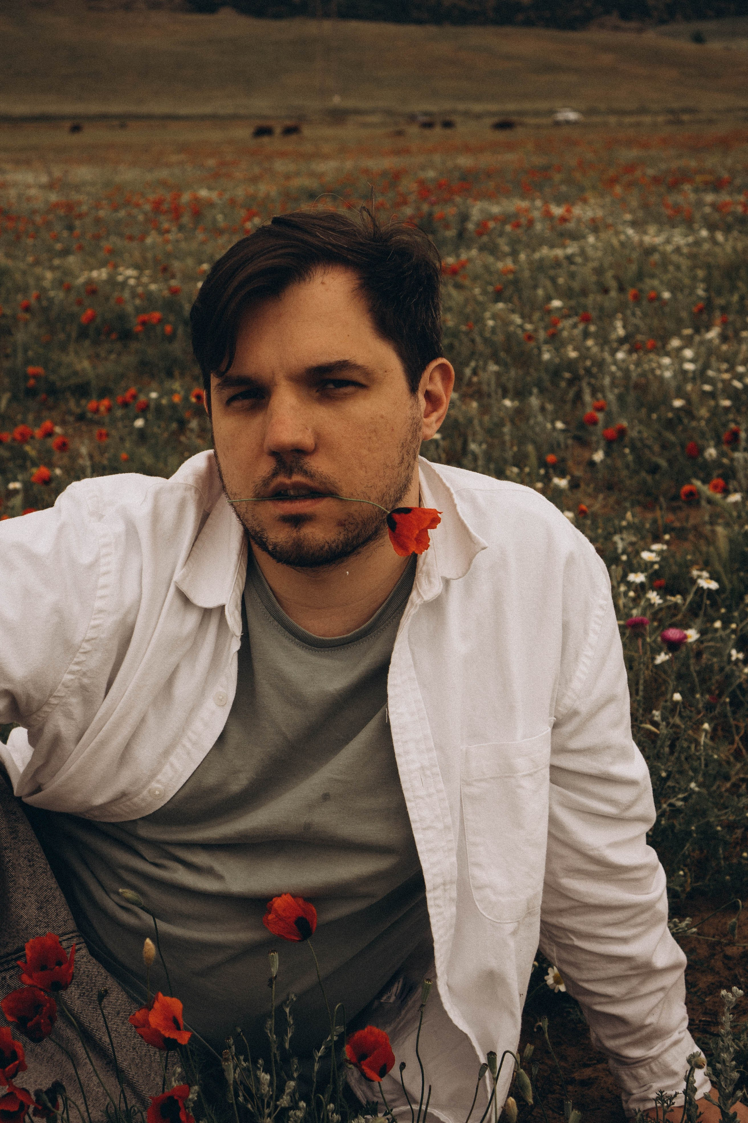 Маки. Профессиональный фотограф, Санкт-Петербург — Виктория Богомолова