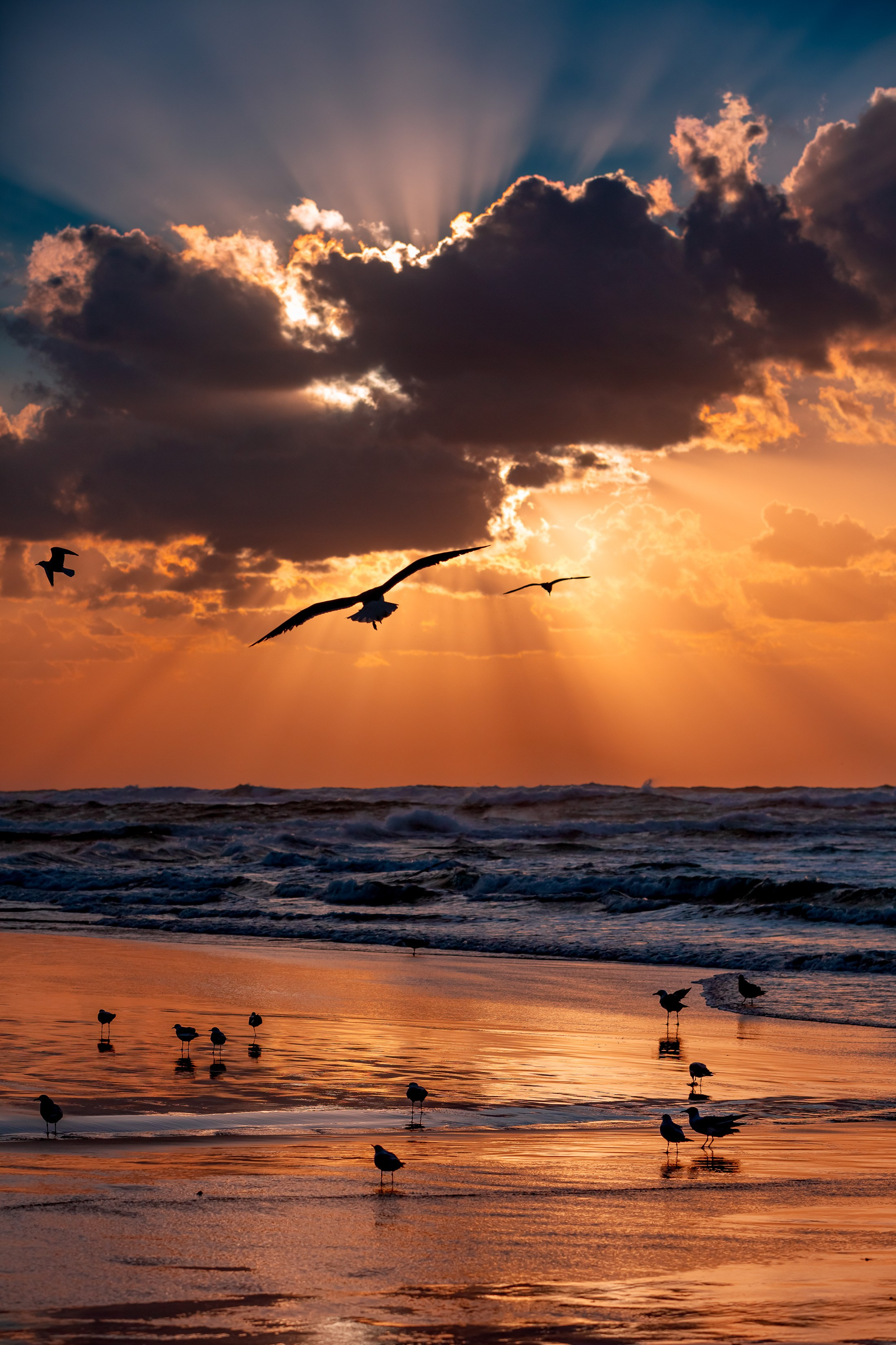 ЯХТЫ / МОРЕ / ПУТЕШЕСТВИЯ. Сложная съёмка для бизнеса b2b / Яхтенный фотограф / Корпоративные календари / Промышленная съёмка / Спортивный репортаж