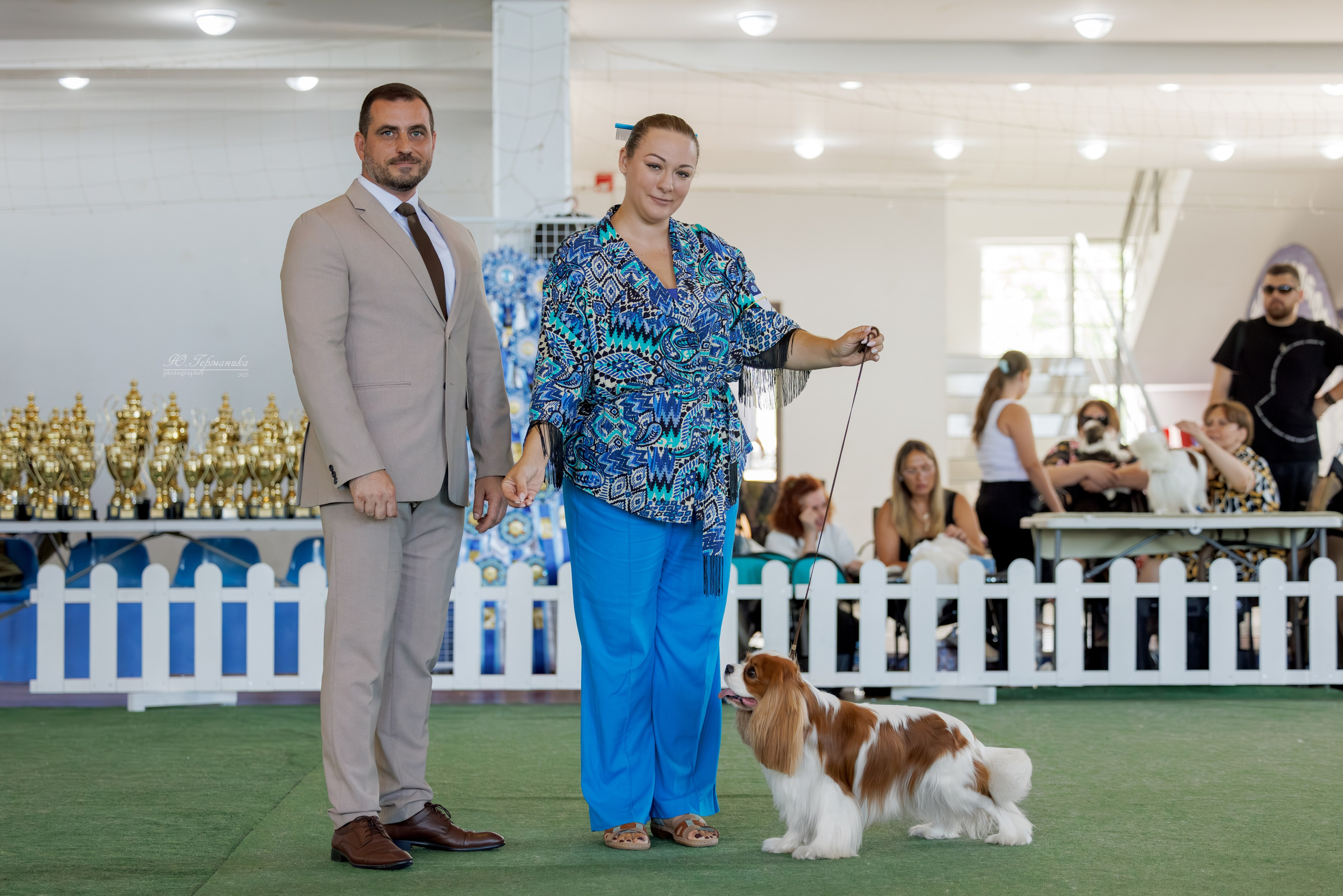 Батуми 3хCACIB 27-29.06.2025. Фотограф-анималист Юлия Германика