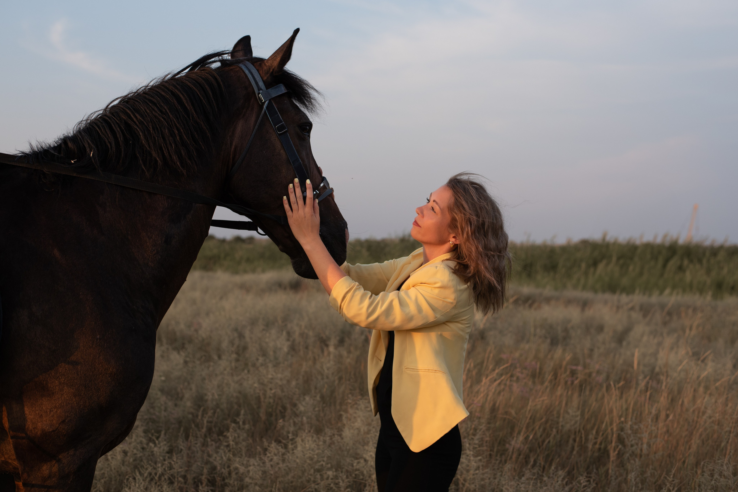 Леди и лошадь. Главная