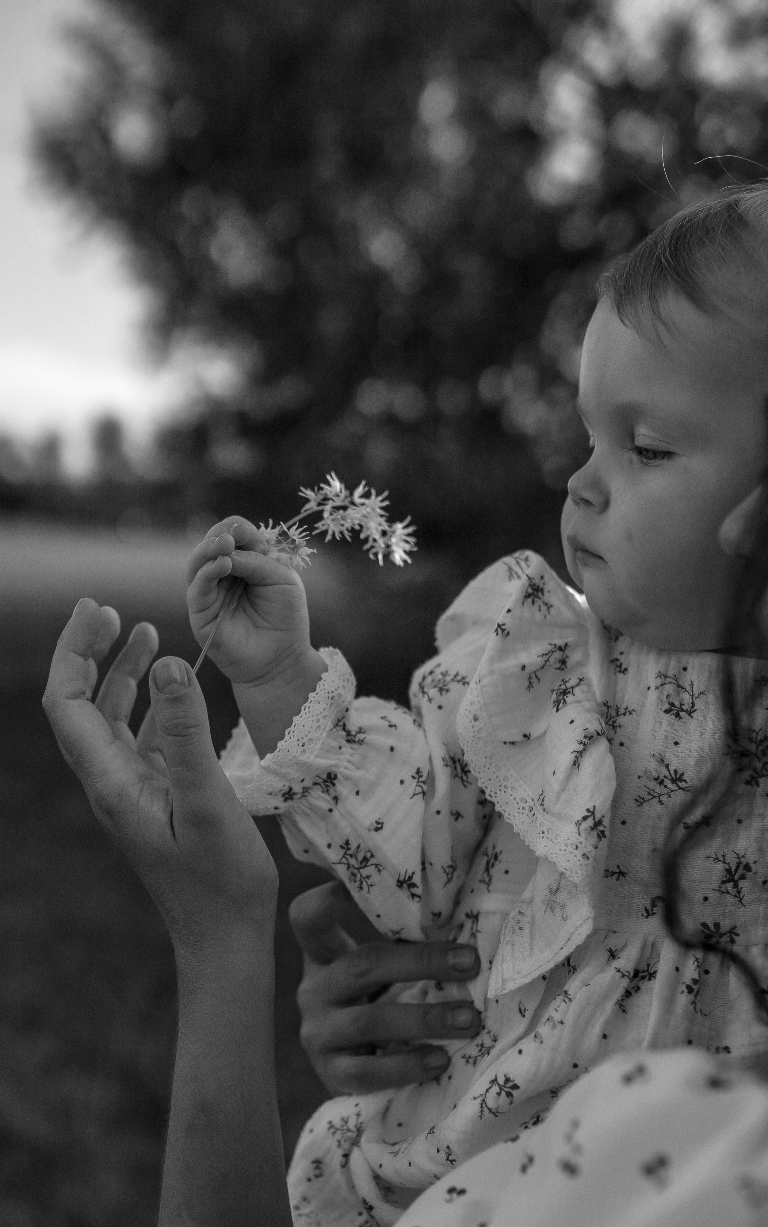 Маша. Семейный фотограф Губкин/Старый Оскол