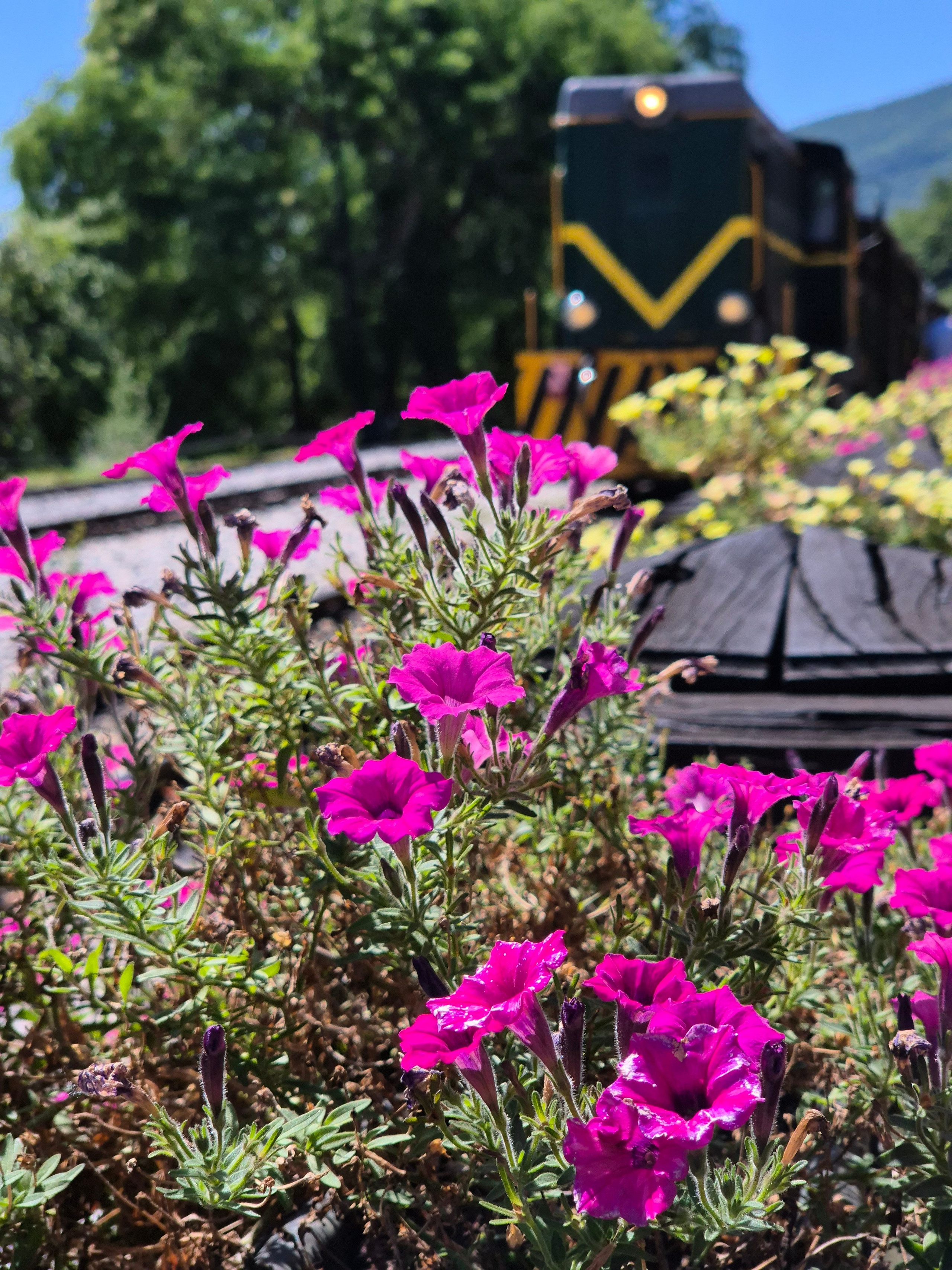 Дорога получила название «Восьмёрка», так как при виде сверху она образовывает фигуру, похожую на цифру 8 из-за перепада высот (около 300 м) с частыми изгибами путей. 