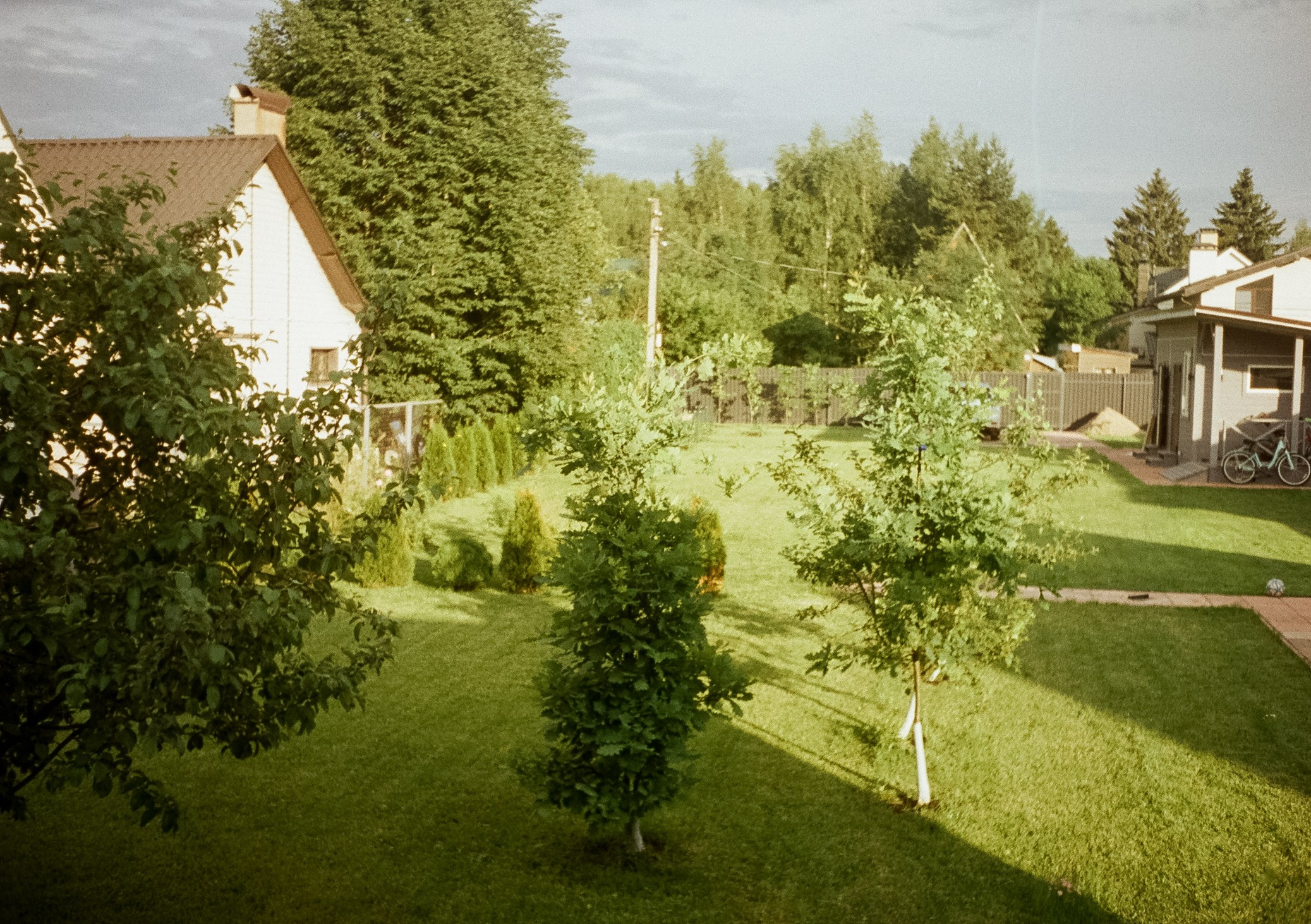 Солнечный июнь. Дача. Пионы. Фотограф-документалист Мария Осокина