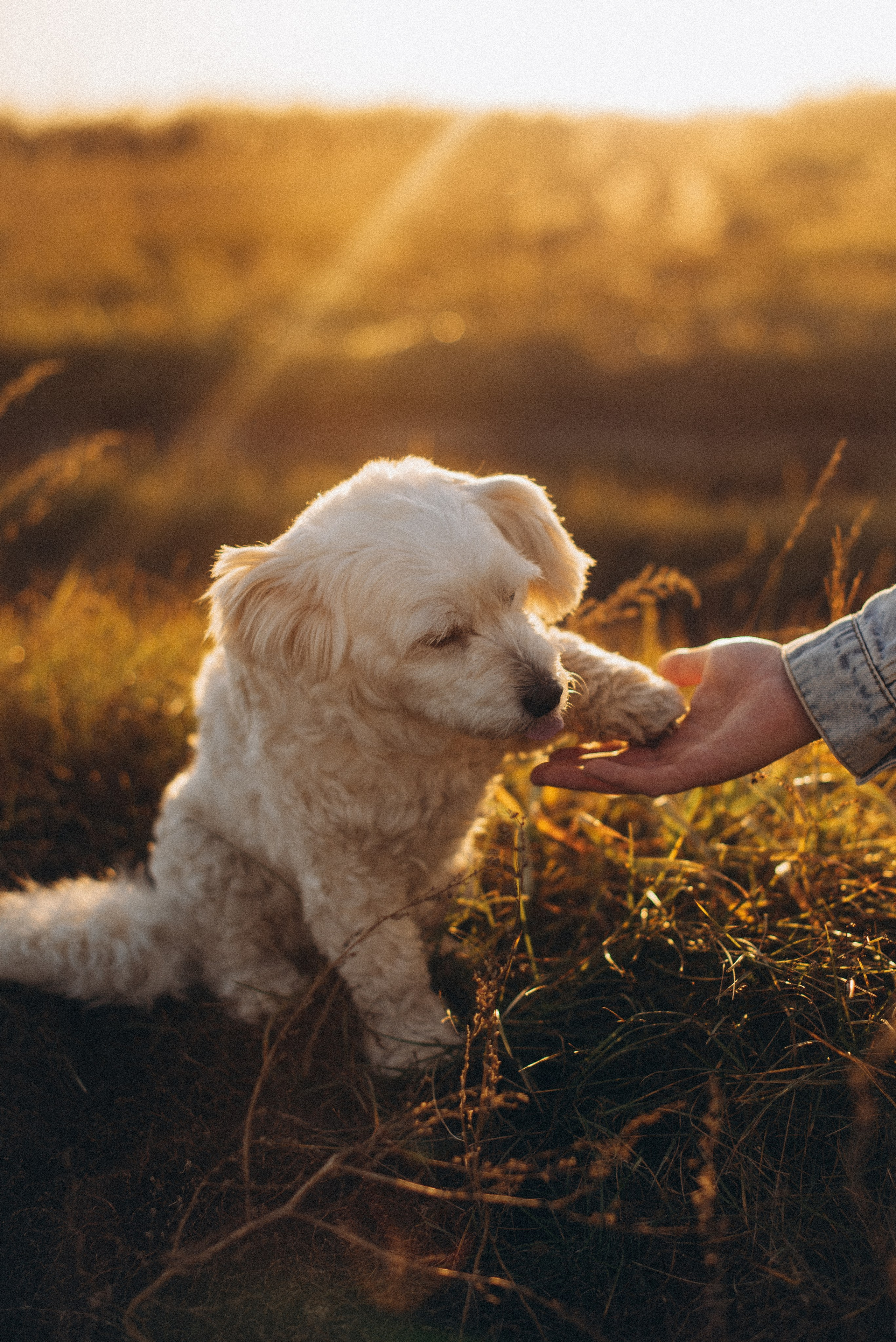 Фотограф в Барнауле и Новоалтайске Ольга Межинская