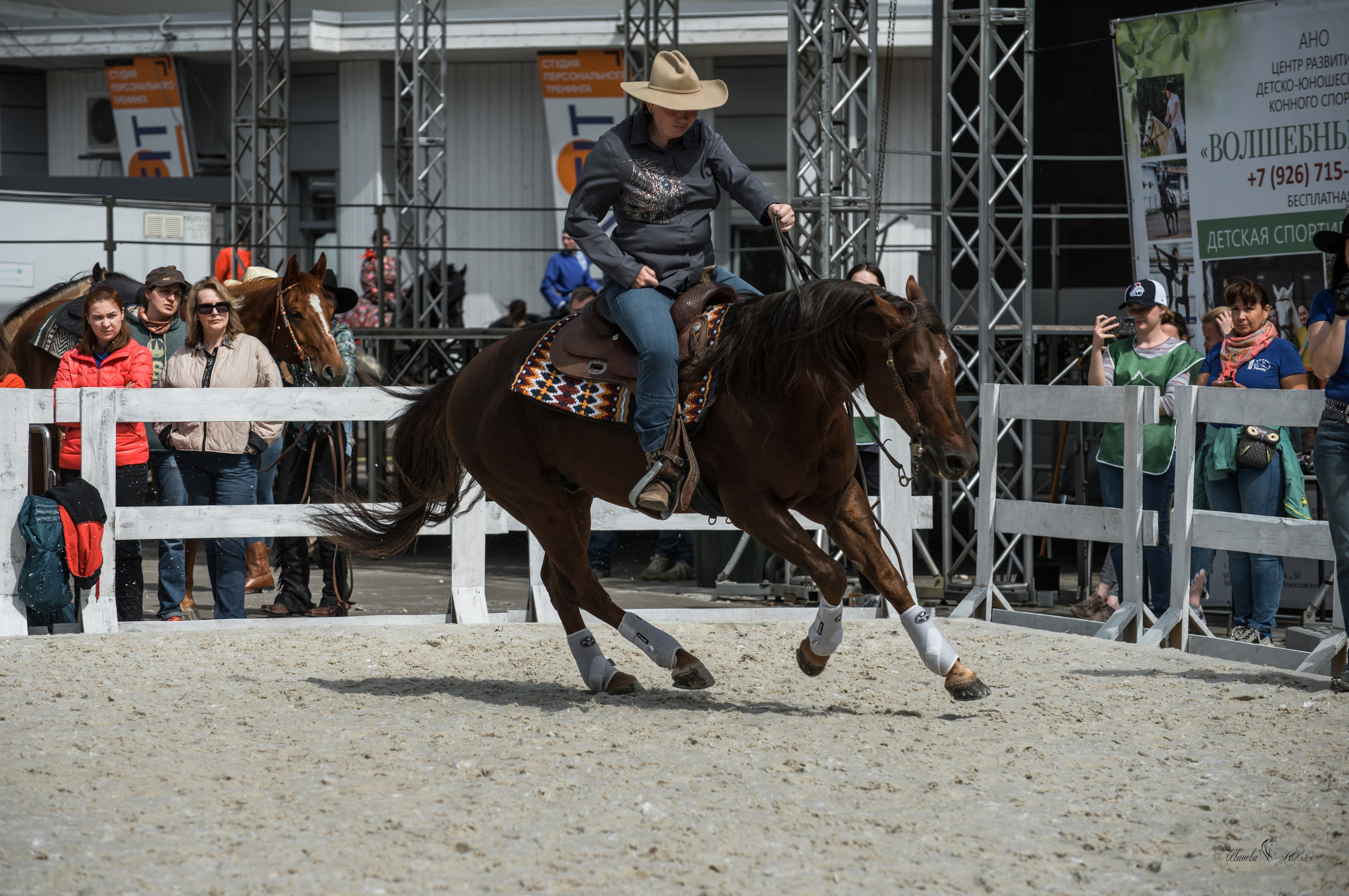 Эквирос, Москва. Конный фотограф в Саратове Юлия Иванова