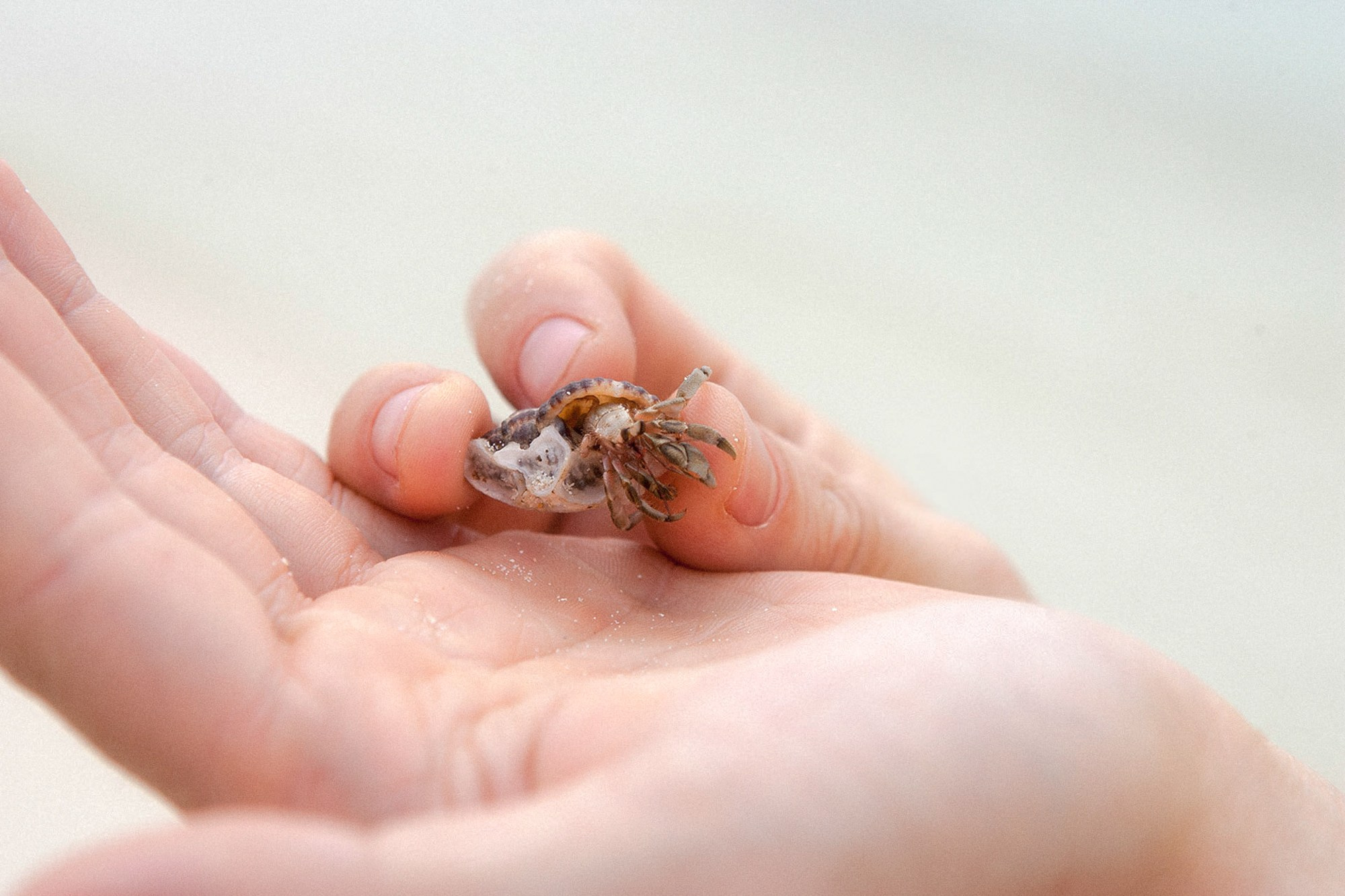 Фото и видео съемка мероприятия. Фото и видеосъемка