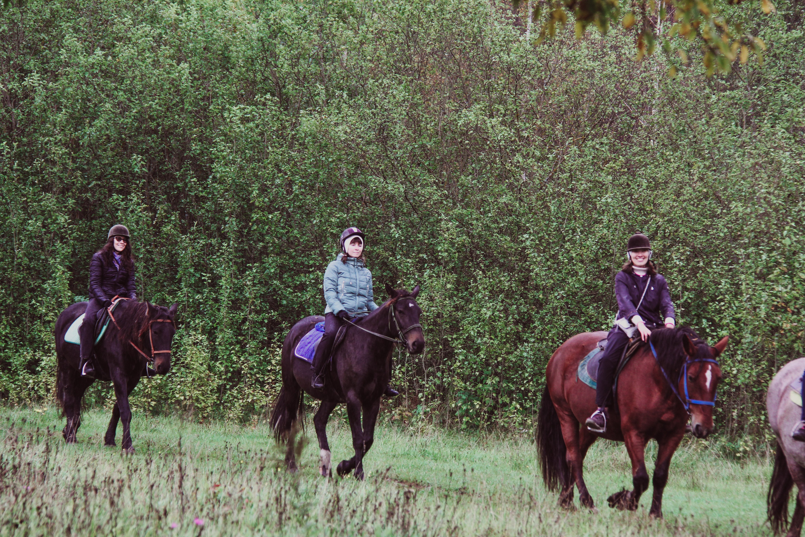 Лошадинг | 27.09.2025. Галерея Фантим
