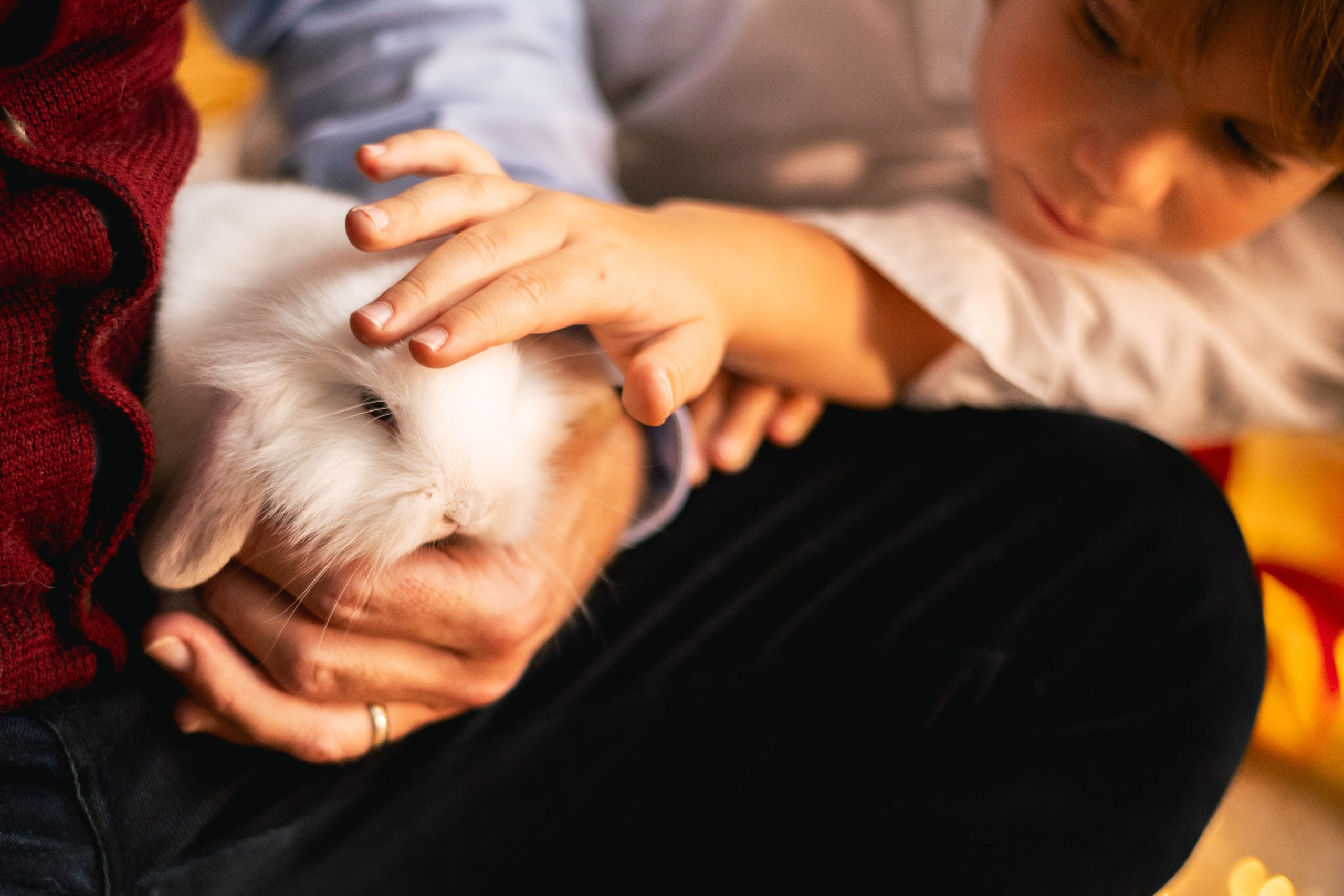 CHRISTMAS FOR VIKTOR AND ALEKSANDR. Anastasiia Antoniuk portrait, family and couple photographer, Portugal