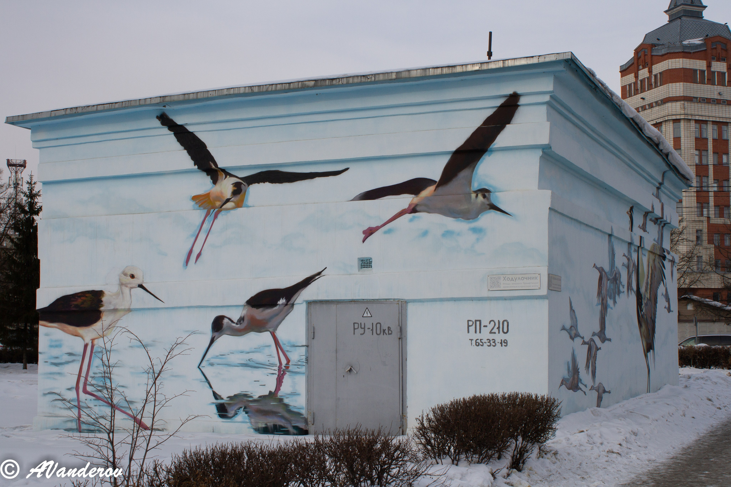 Омск 2023. Фотограф Омск | Александр Вандеров