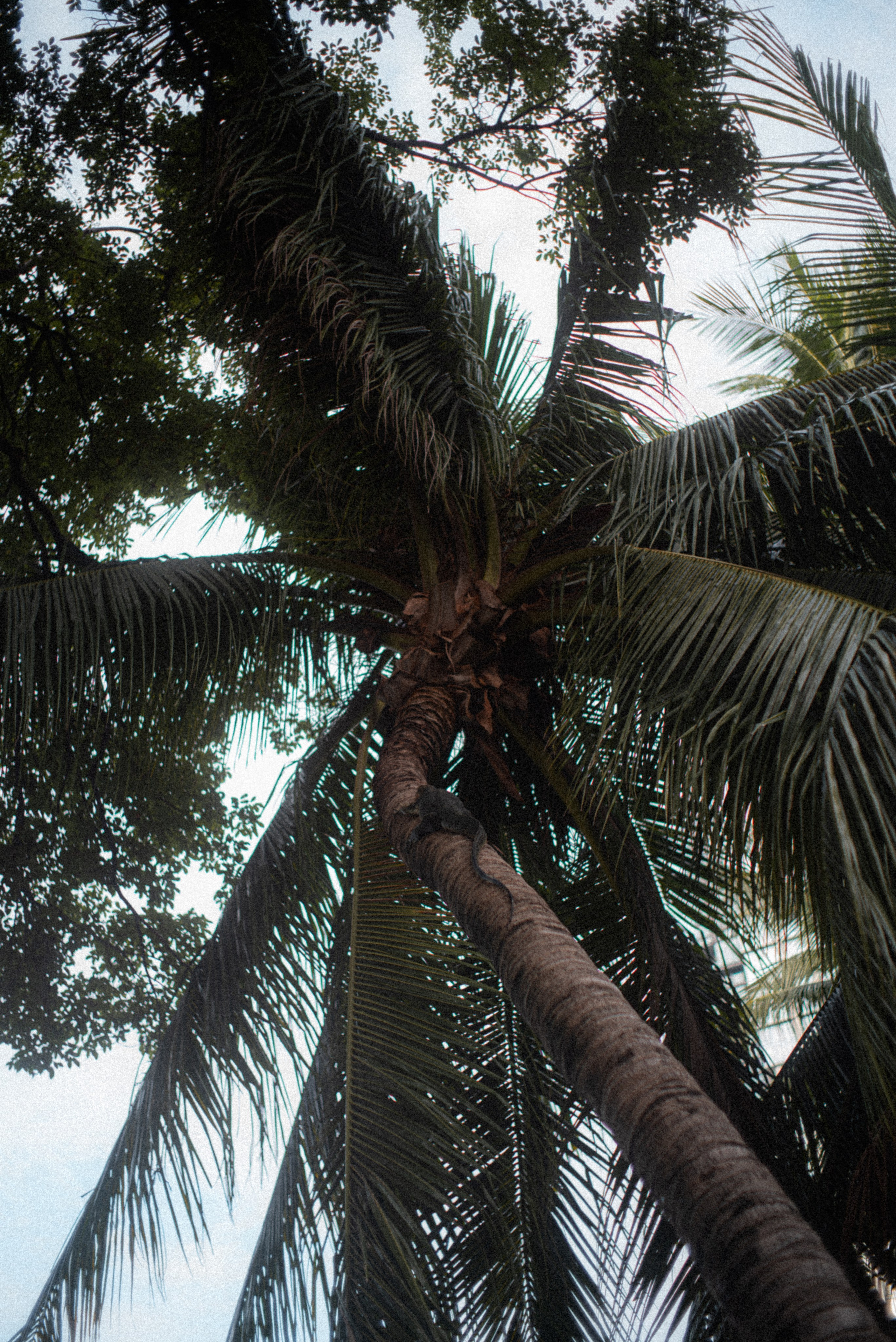 Бангкок. Создание контента | Фото | Видеосъемка | Александр Ярков