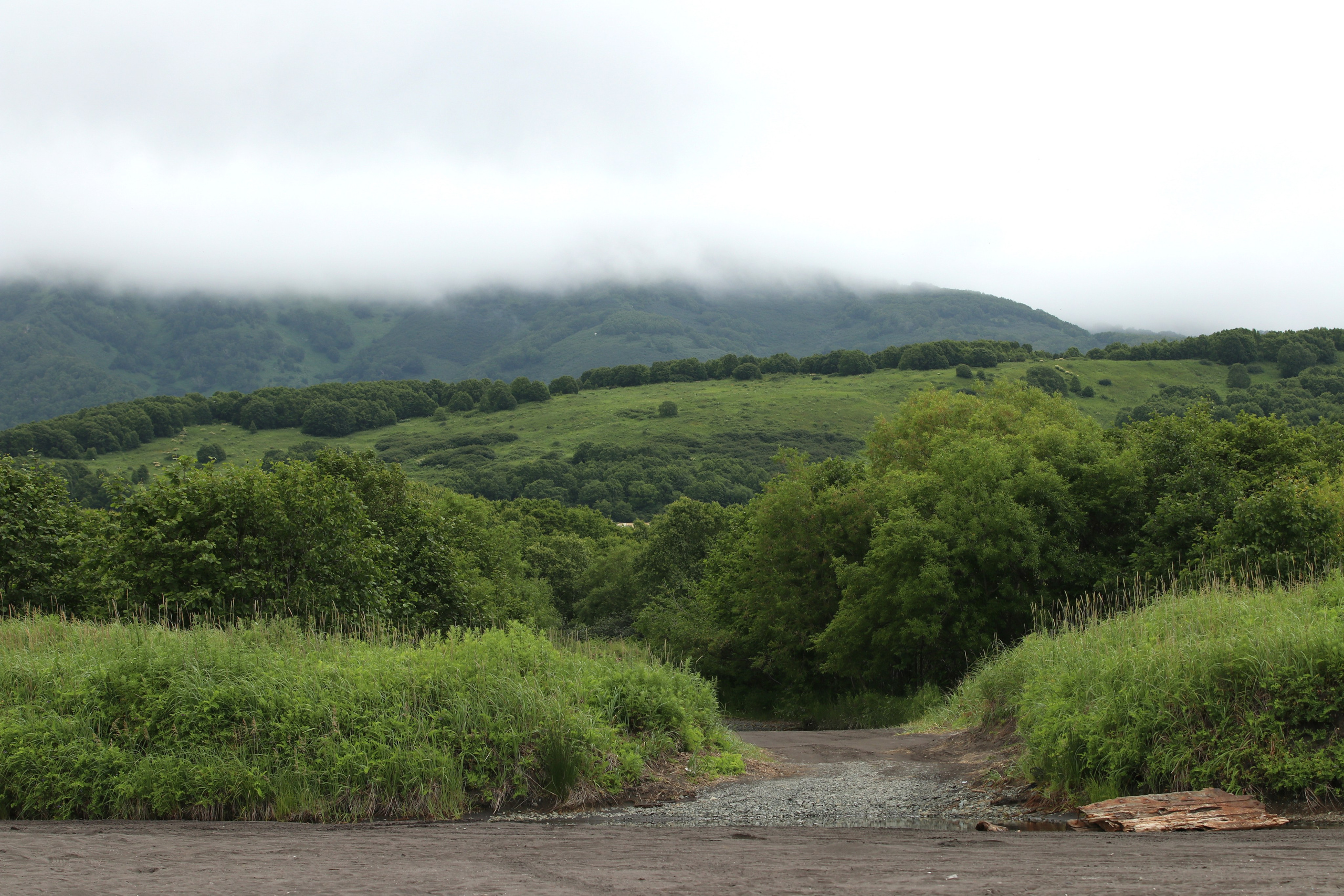 Камчатка и о. Парамушир. Июль 2024. Путешественник-фотограф из Санкт-Петербурга Татьяна Свистулина