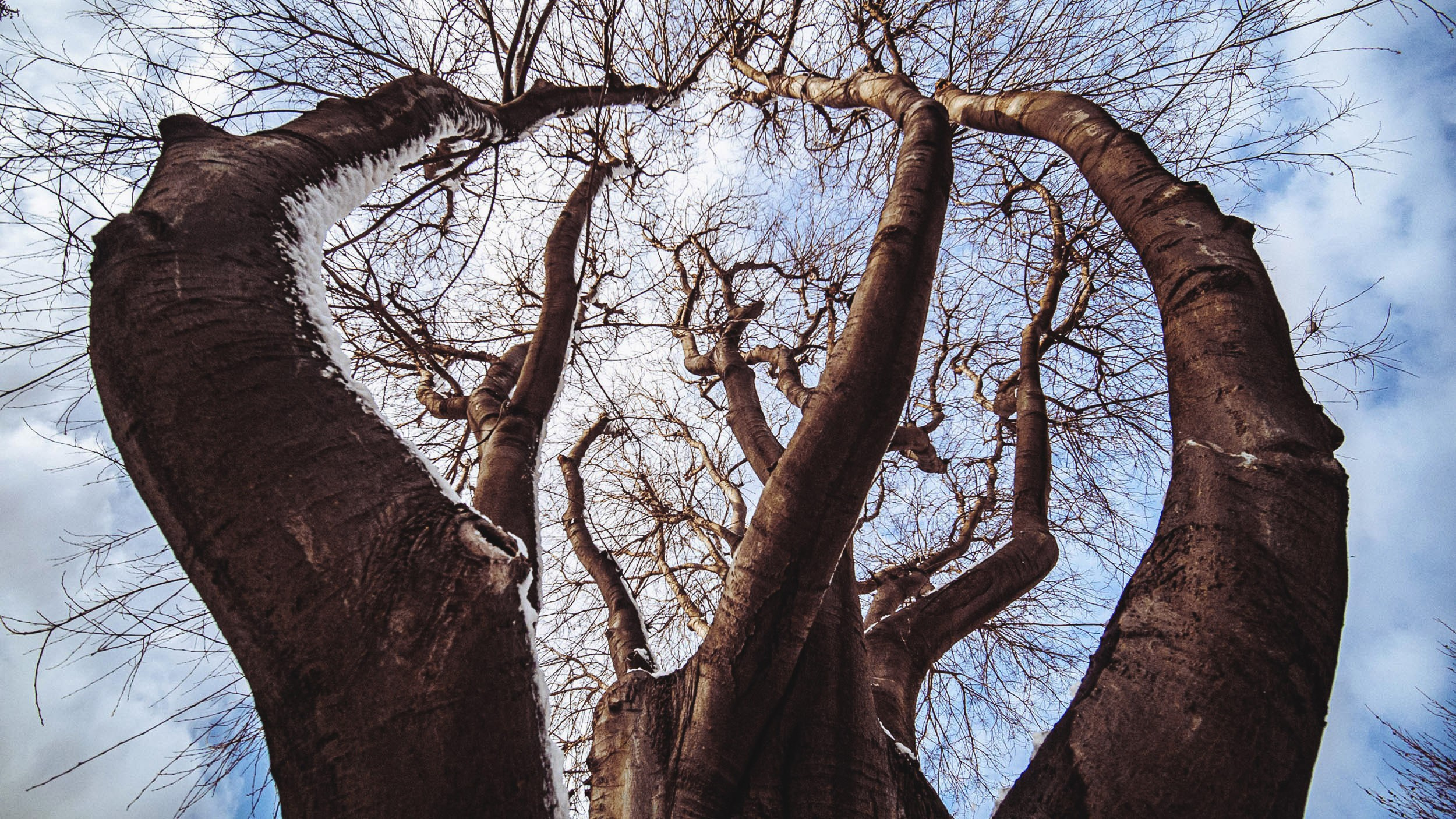 Portfolio. The Andris