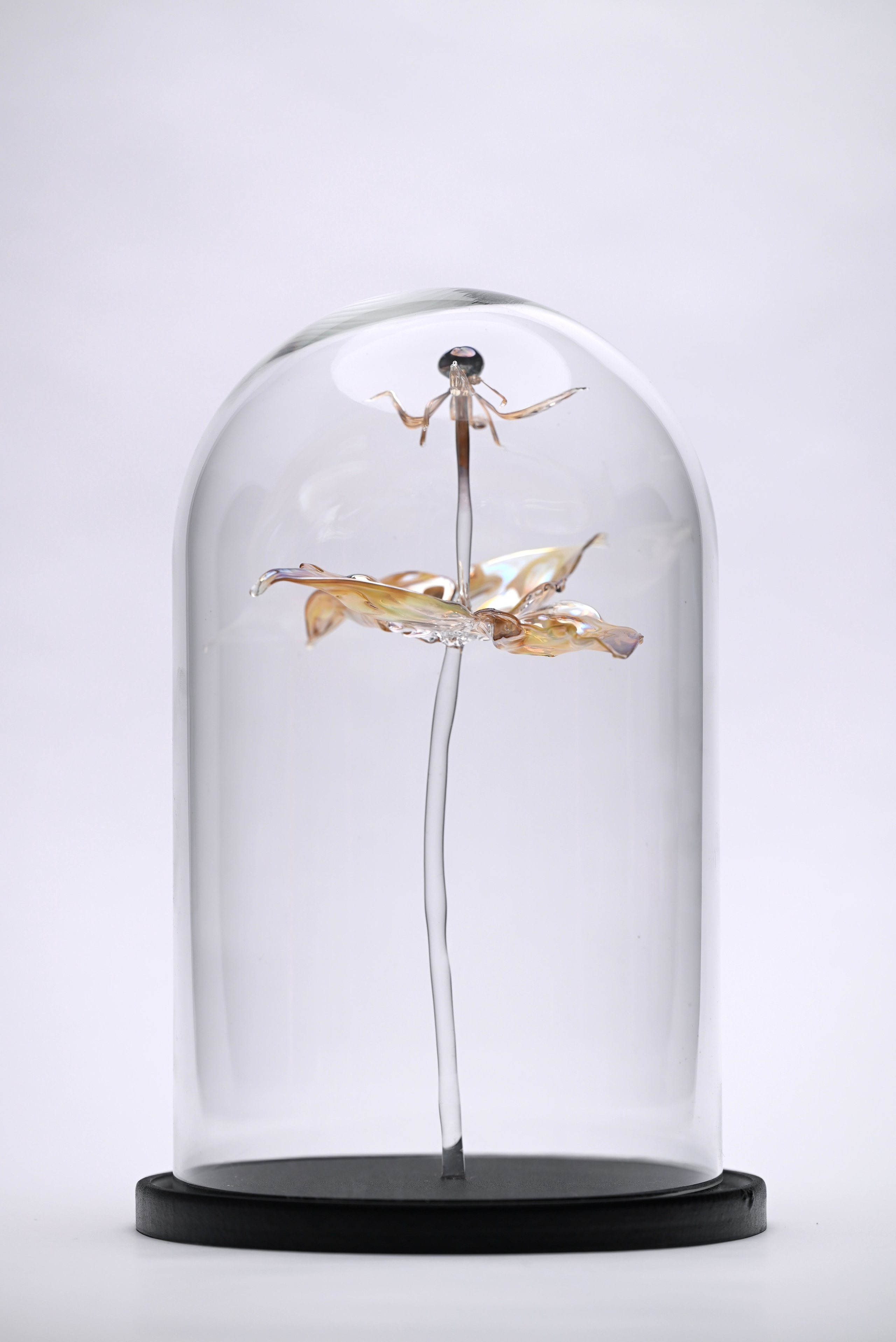 Вороний глаз. Главная