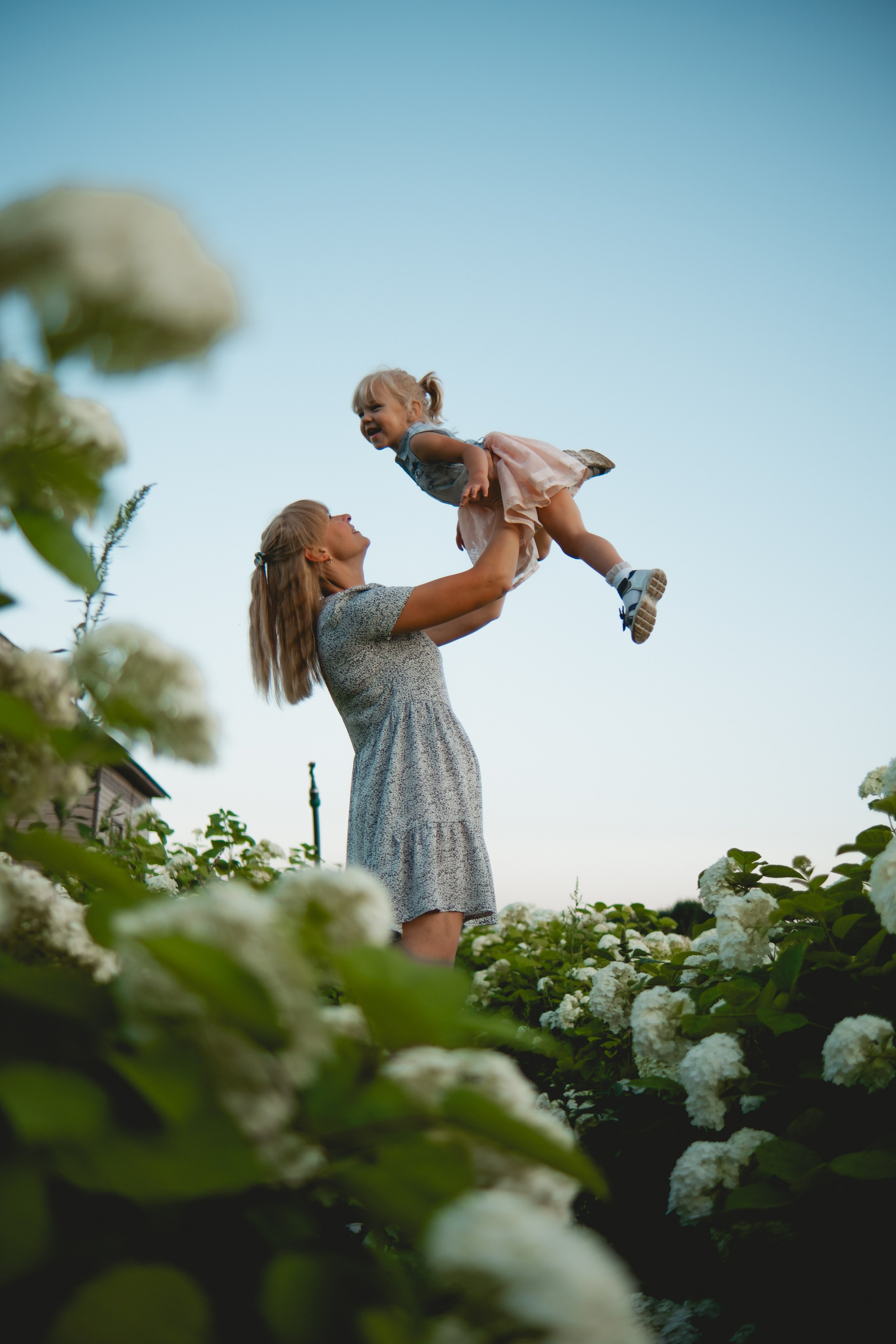 Семейная съемка в лованде. Nattie.ph