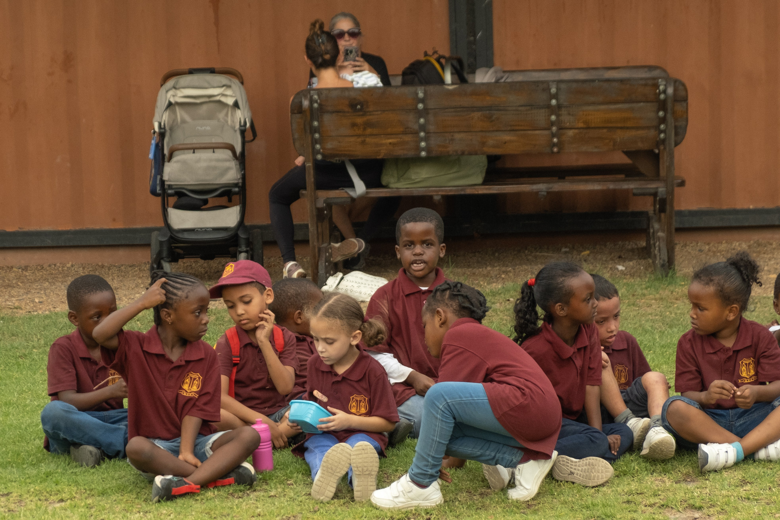 Пингвины и другие. Фотографии из путешествий