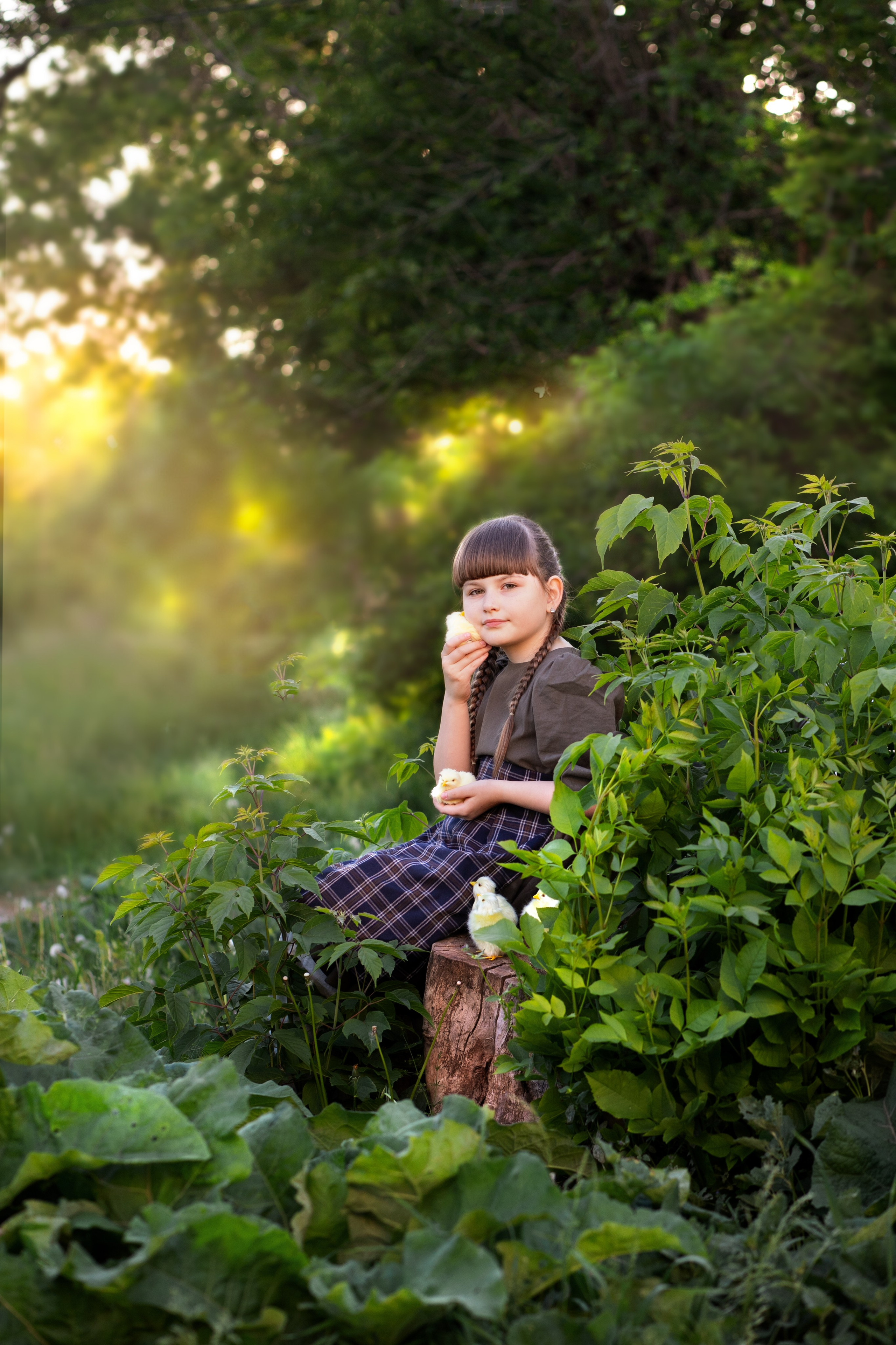 Девочка и цыплята. Фотограф Кравченко Юлия. Энгельс