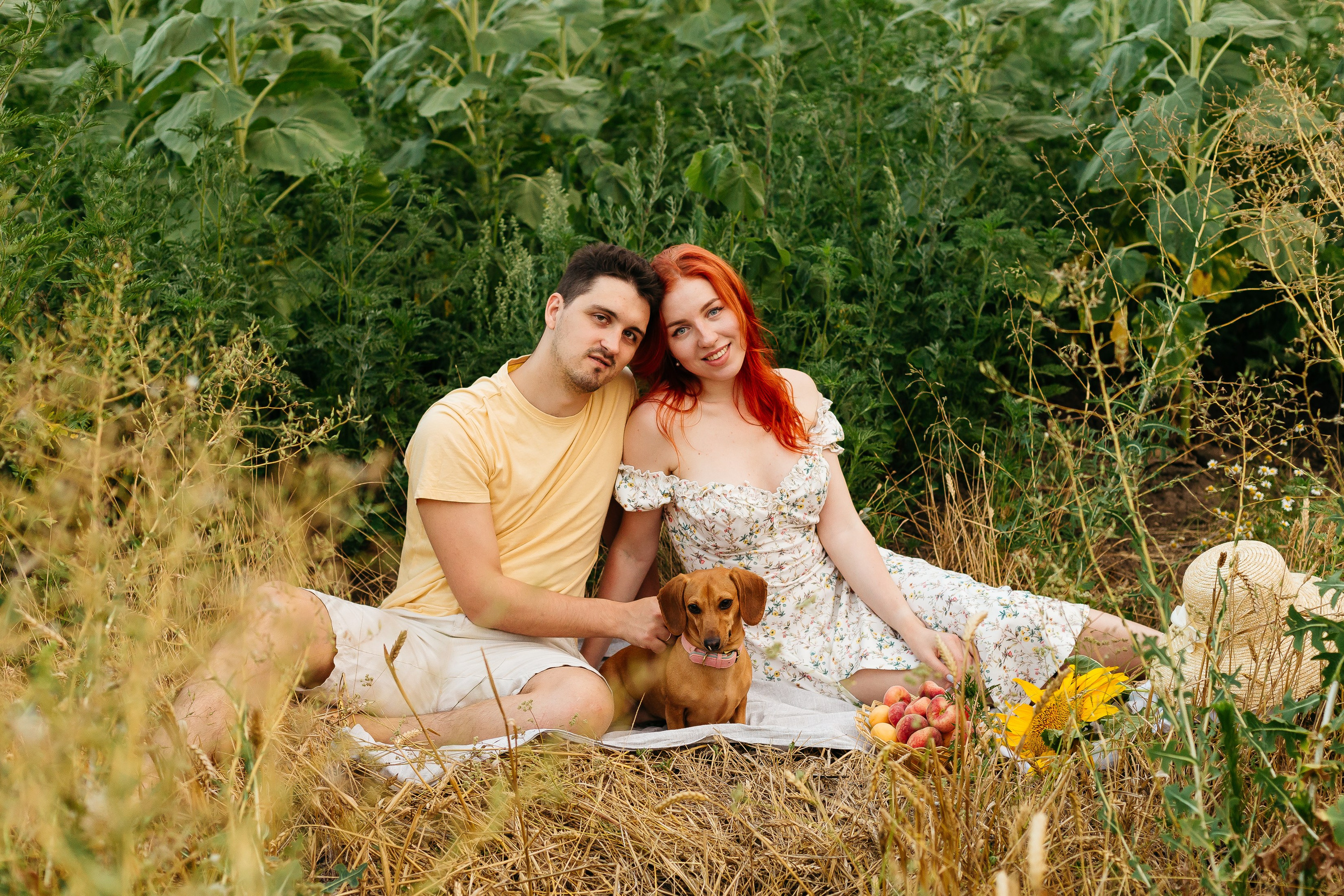 Подсолнухи. Свадебный и семейный фотограф в Краснодаре Илонна Ковалева