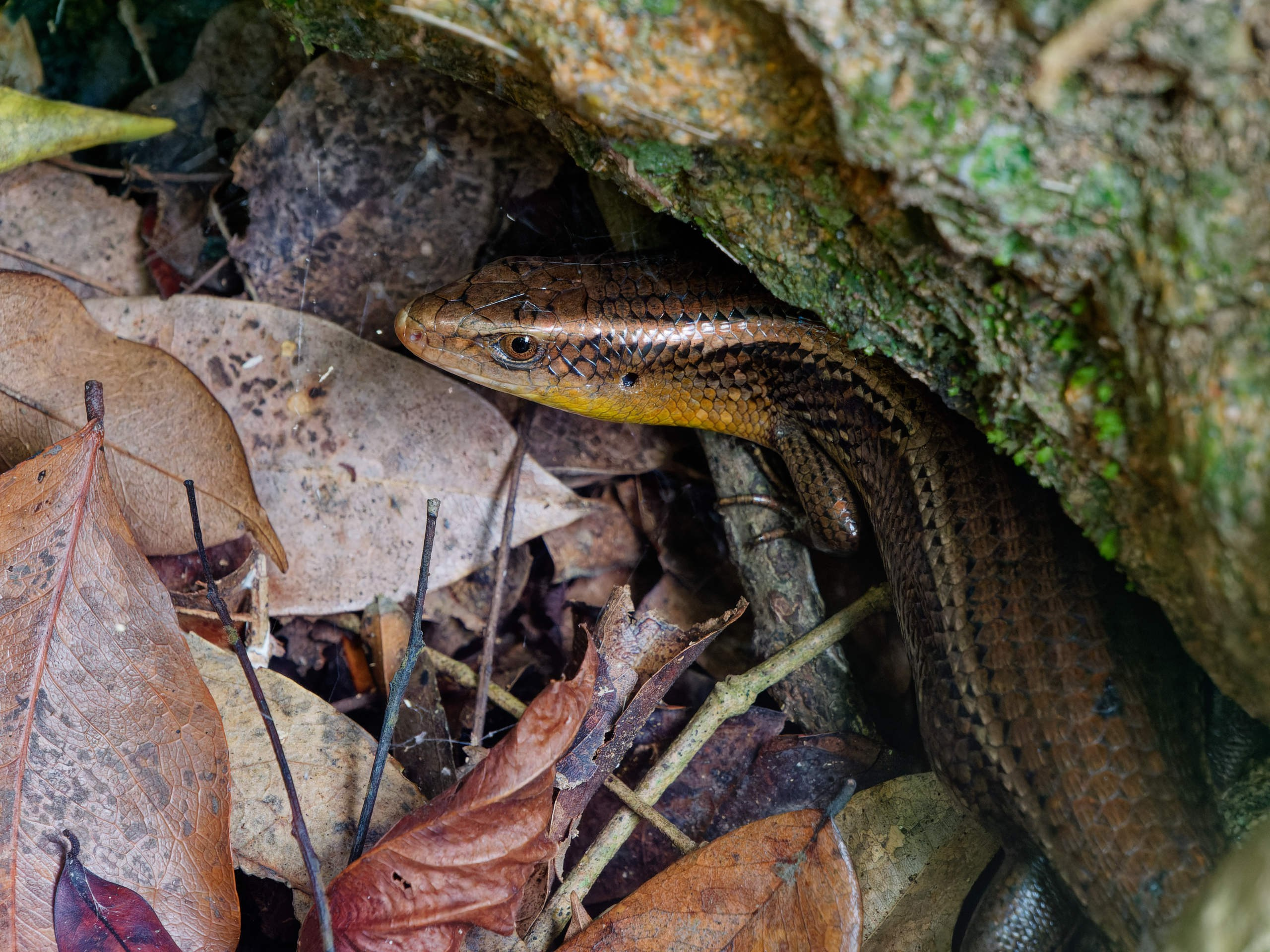 Нячанг 2025 (5). Избранные фотографии