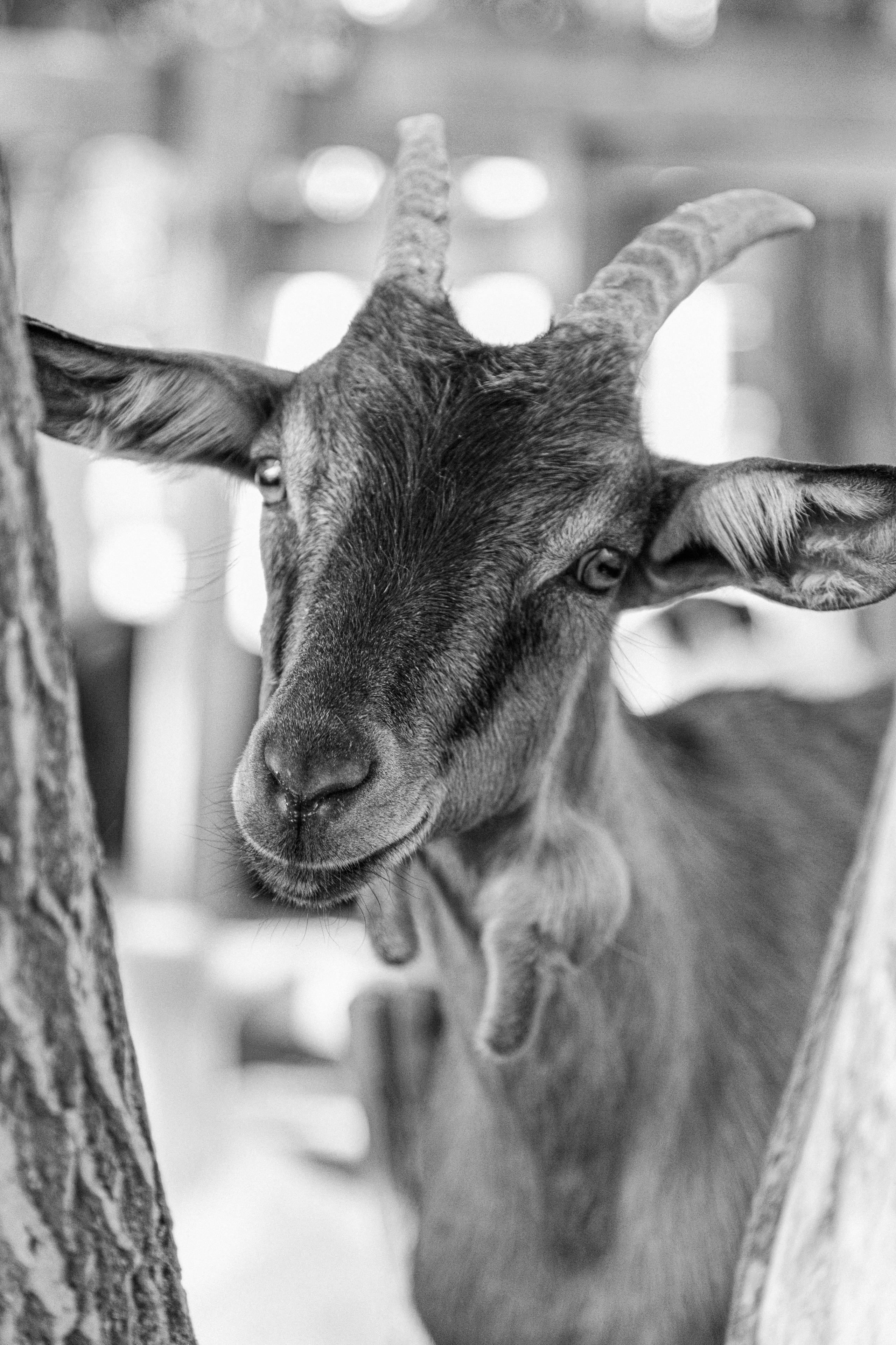 Элла Ферма. Юлия Космо — фуд-фотограф, предметный стилист, Москва