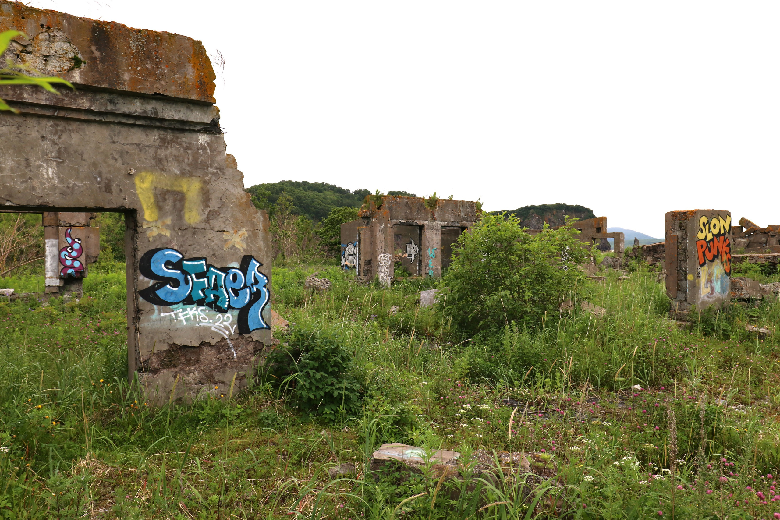 Камчатка и о. Парамушир. Июль 2024. Путешественник-фотограф из Санкт-Петербурга Татьяна Свистулина