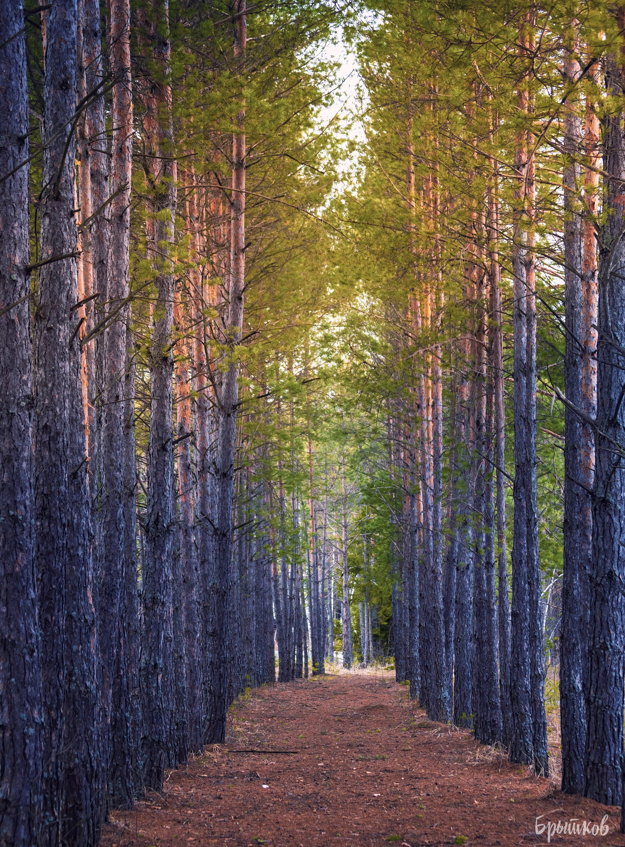 озеро Бам Суворов карьеры