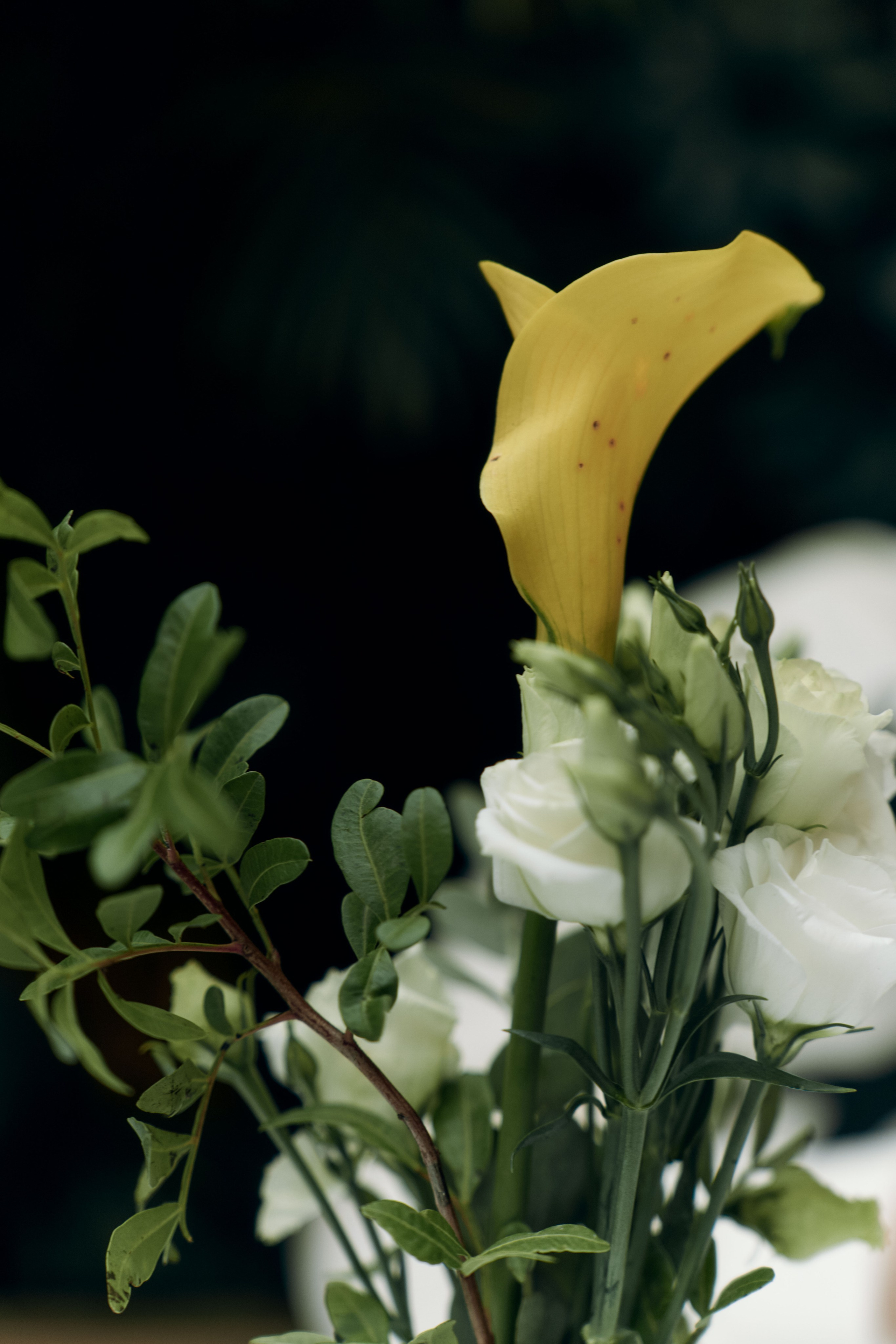 Wedding day | Anya and Dima. Alinsmv