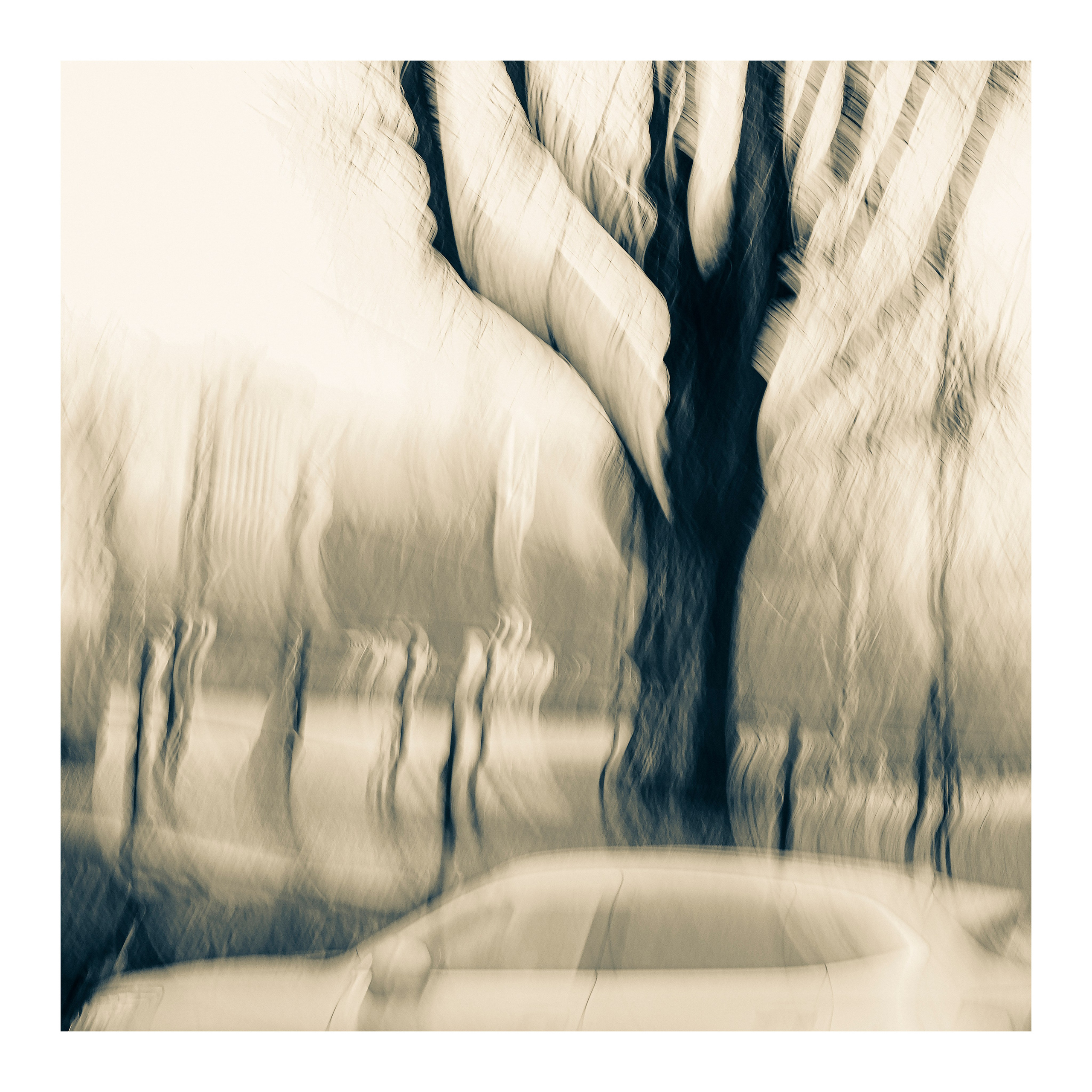 Сепия2. Портретный и арт-фотограф в Санкт-Петербурге и Выборге Олег Борцов