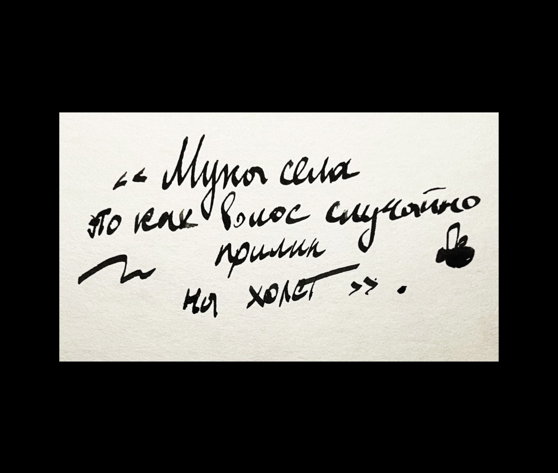 Муха. Портфолио