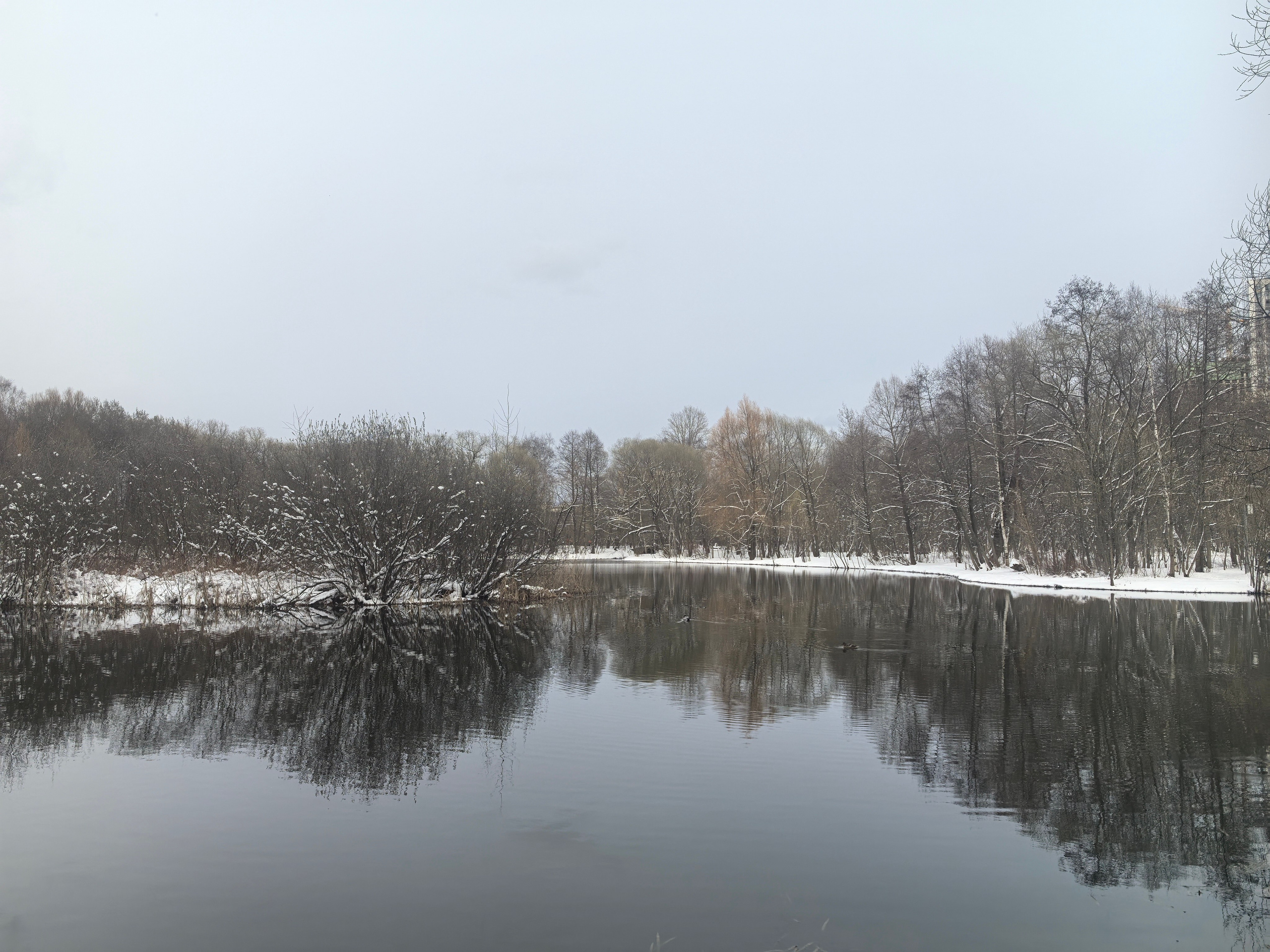 Покровско-Стрешнево. Школьные выпускные альбомы в Москве Марина Николаева