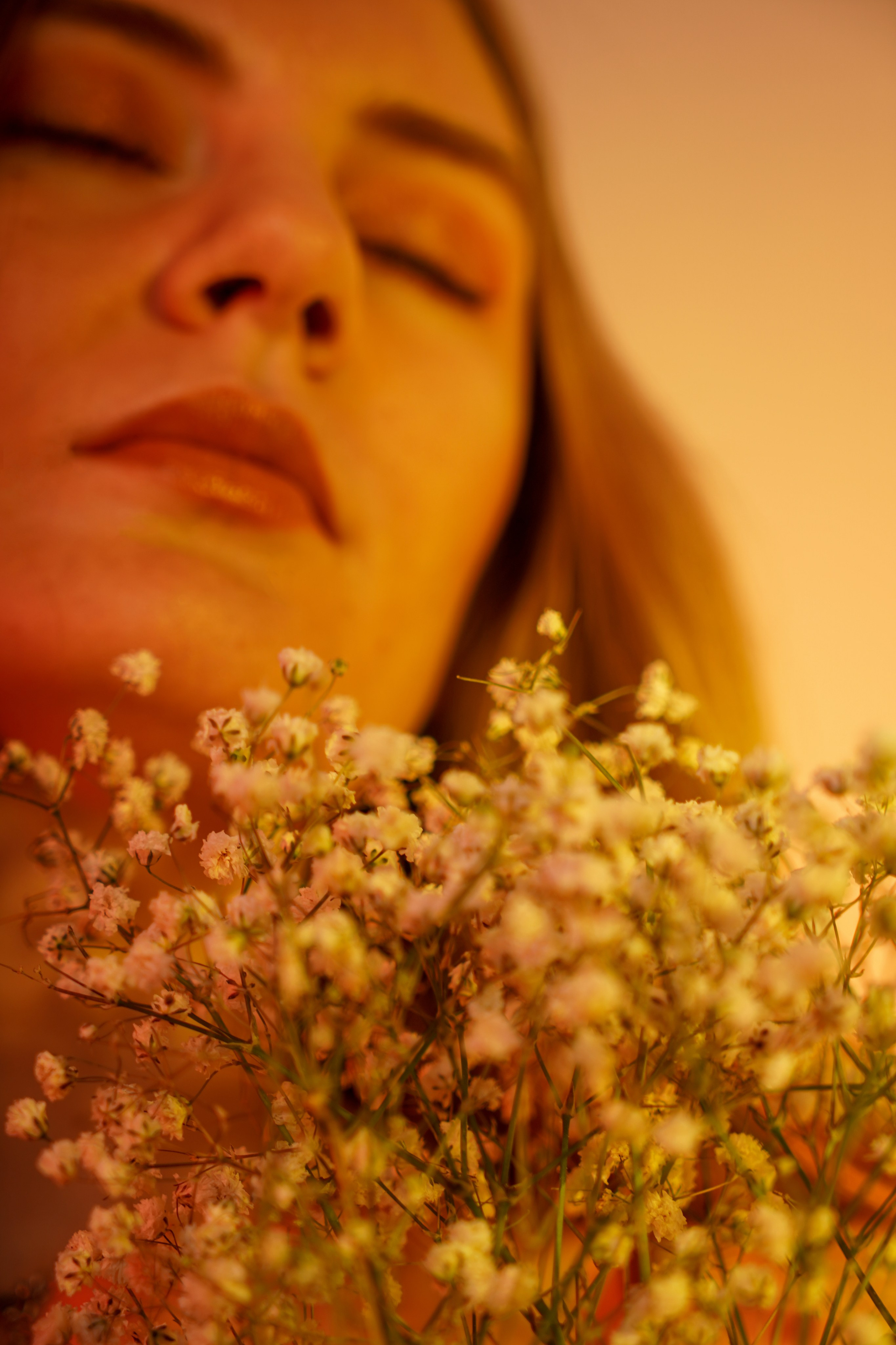 Елена. Портер с цветом. Главная