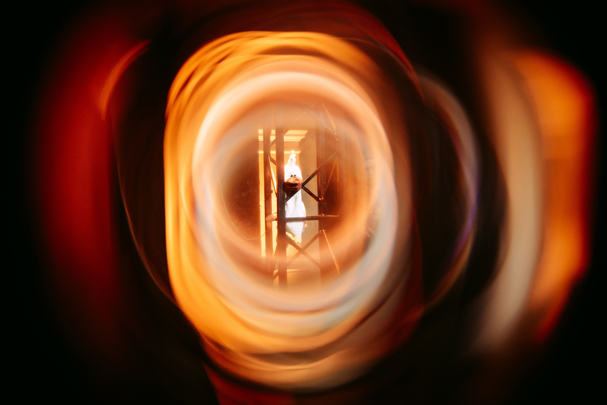 Горький оптимизм. Главная