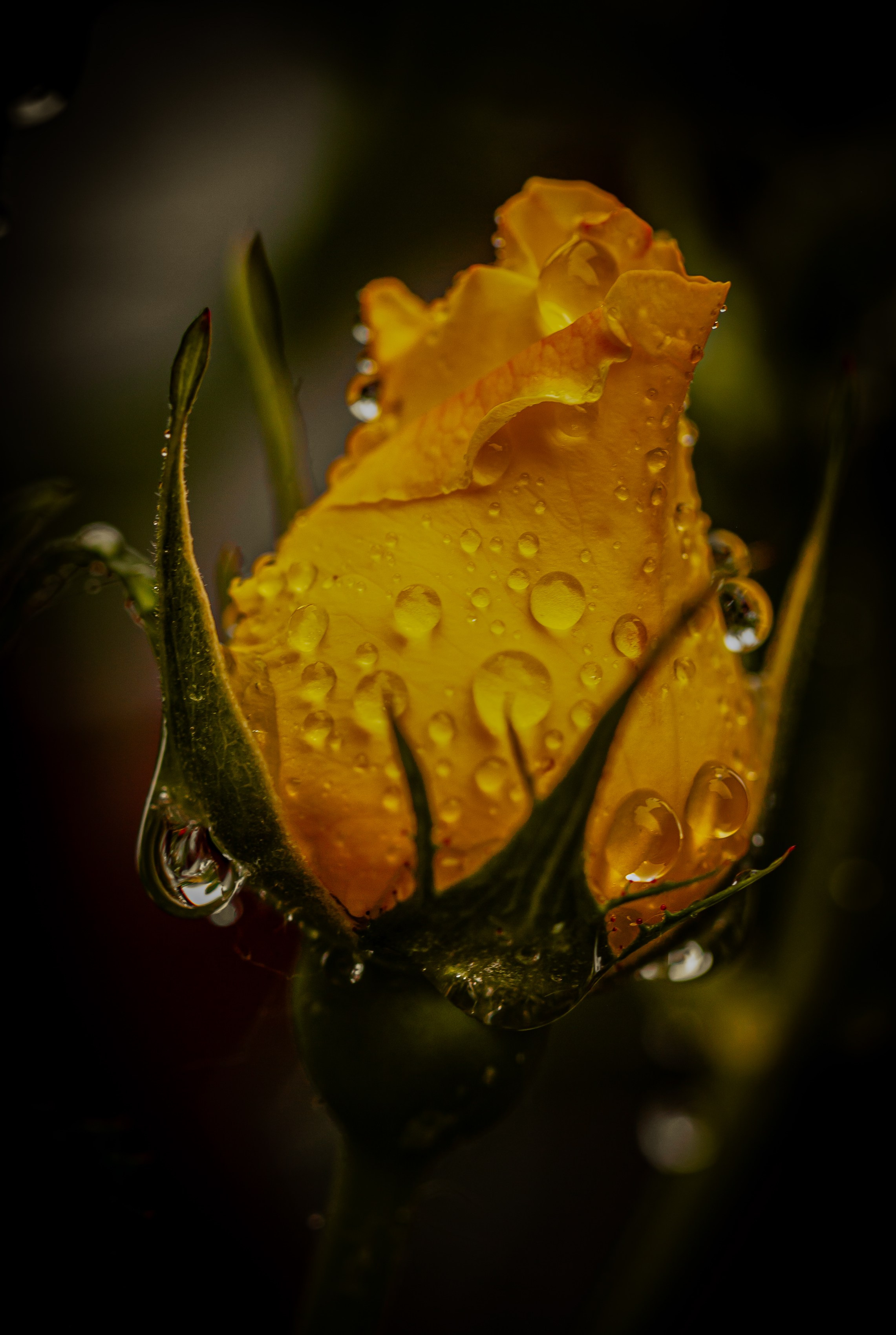 Медиапродюсер, фотограф в Минеральных Водах —Виктор Холодов