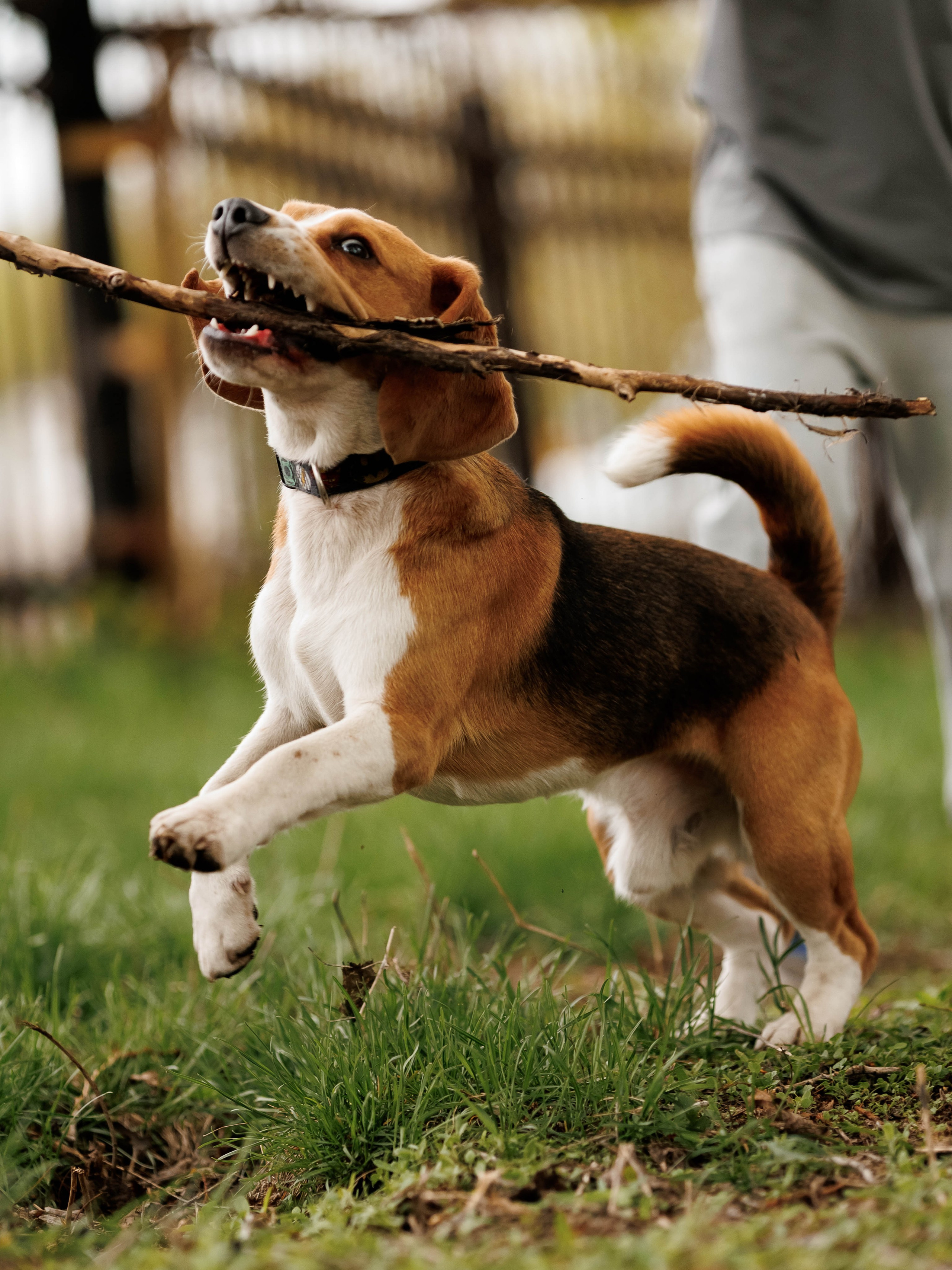 Family. Фотограф Кемерово Иван Сапожников
