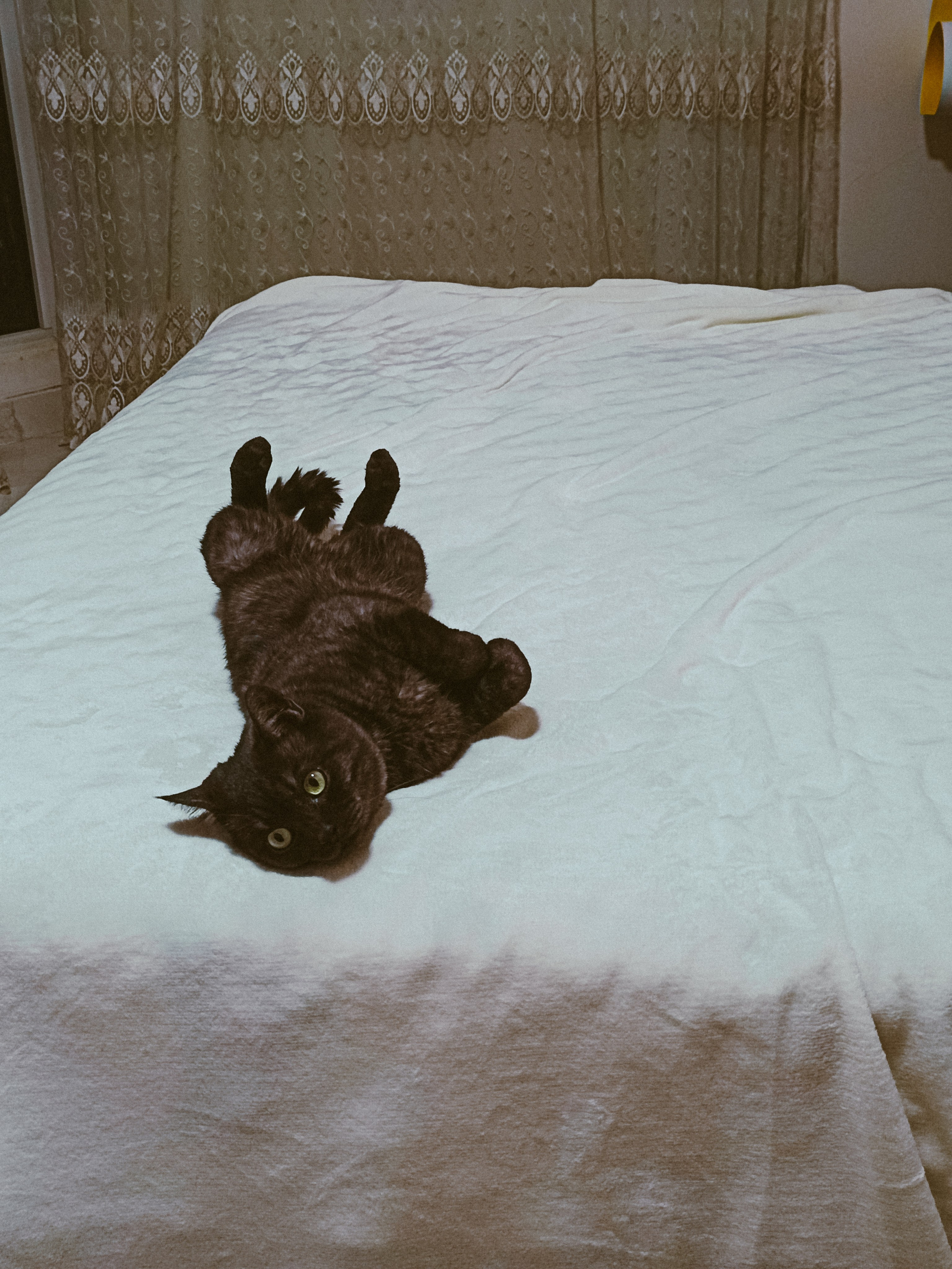 Мобильная. Jorgis — фотограф в Хургаде / обучение фотографии