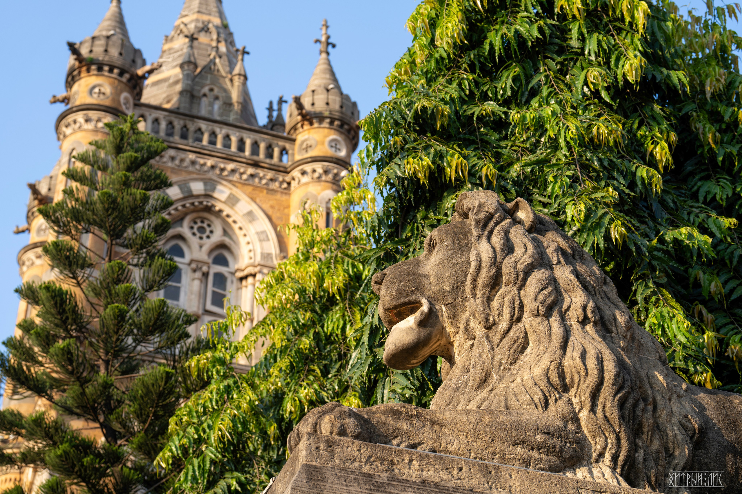 Гоа-Мумбаи. Фотограф-путешественник Самойлов Максим «Sly Fox»