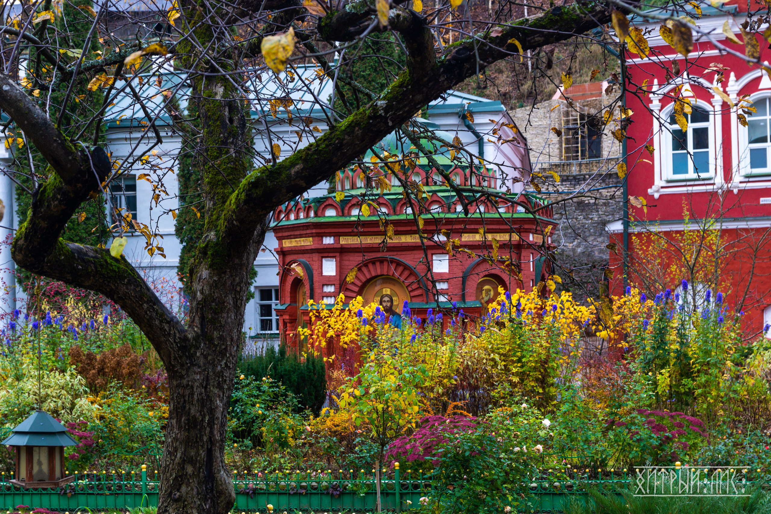 Изборск- Печоры-Псков-Новгород-Торжок. Фотограф-путешественник Самойлов Максим «Sly Fox»