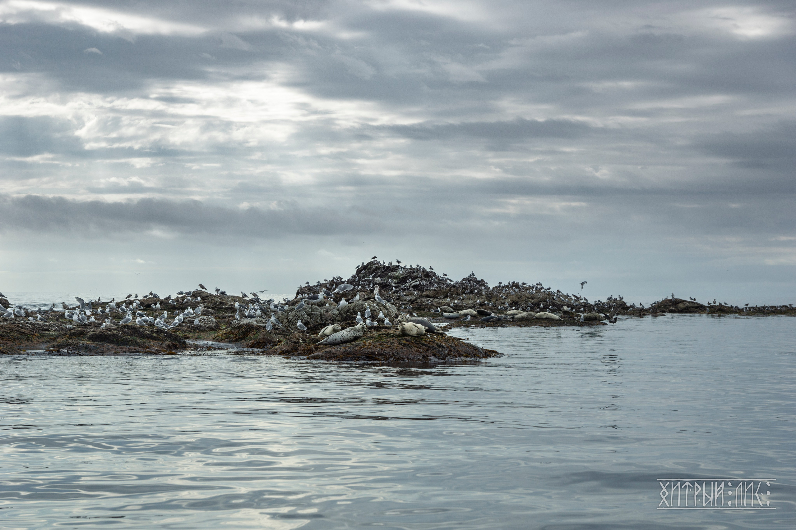 Сахалин. Фотограф-путешественник Самойлов Максим «Sly Fox»