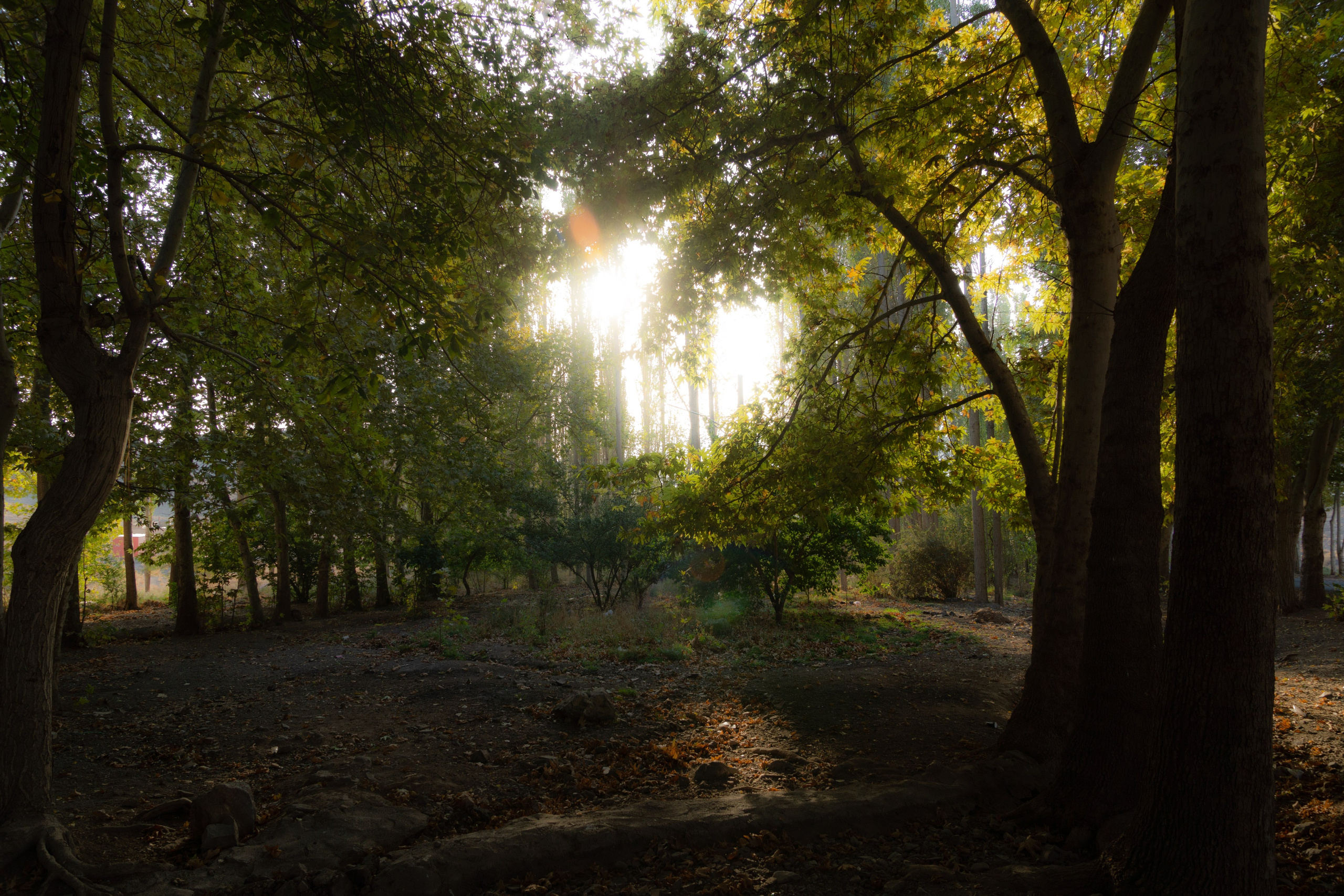 Иран. Фотограф-путешественник Самойлов Максим «Sly Fox»