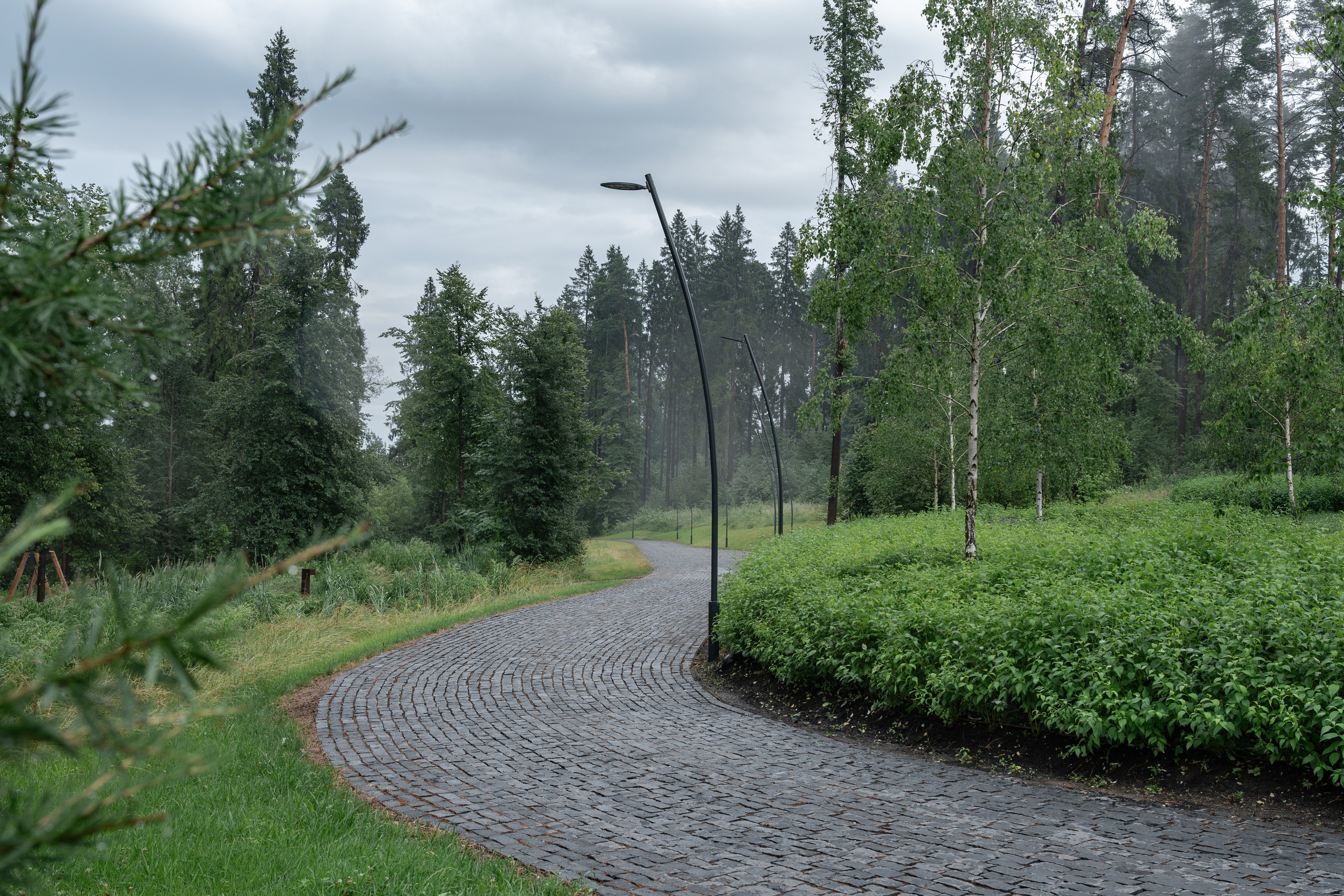 Trailway of health. Артамонов Александр | Архитектурный и ландшафтный фотограф