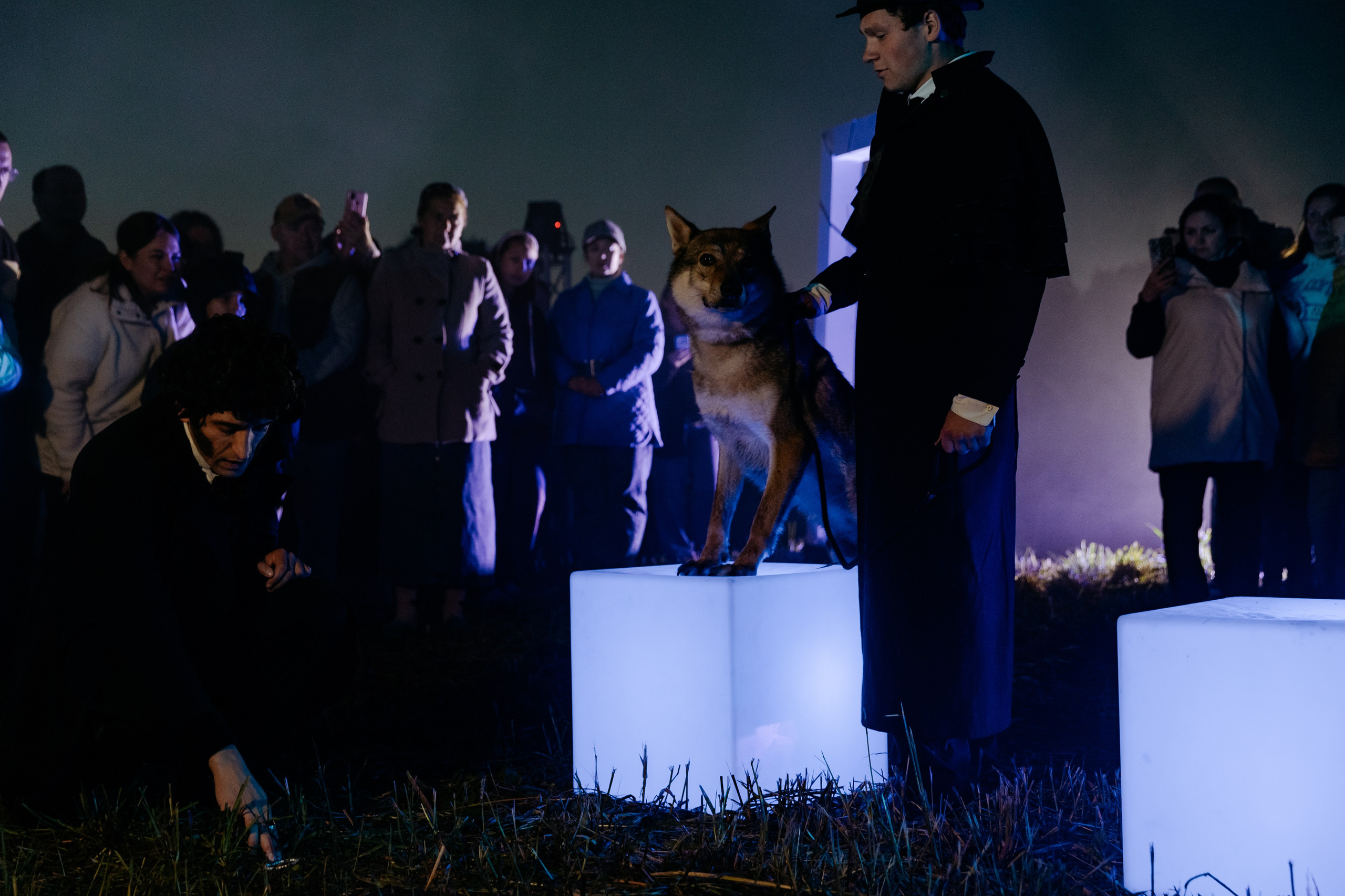 Иммерсивное шоу «Пушкин.Суйда» 2024. Свадебный и репортажный фотограф в Санкт-Петербурге