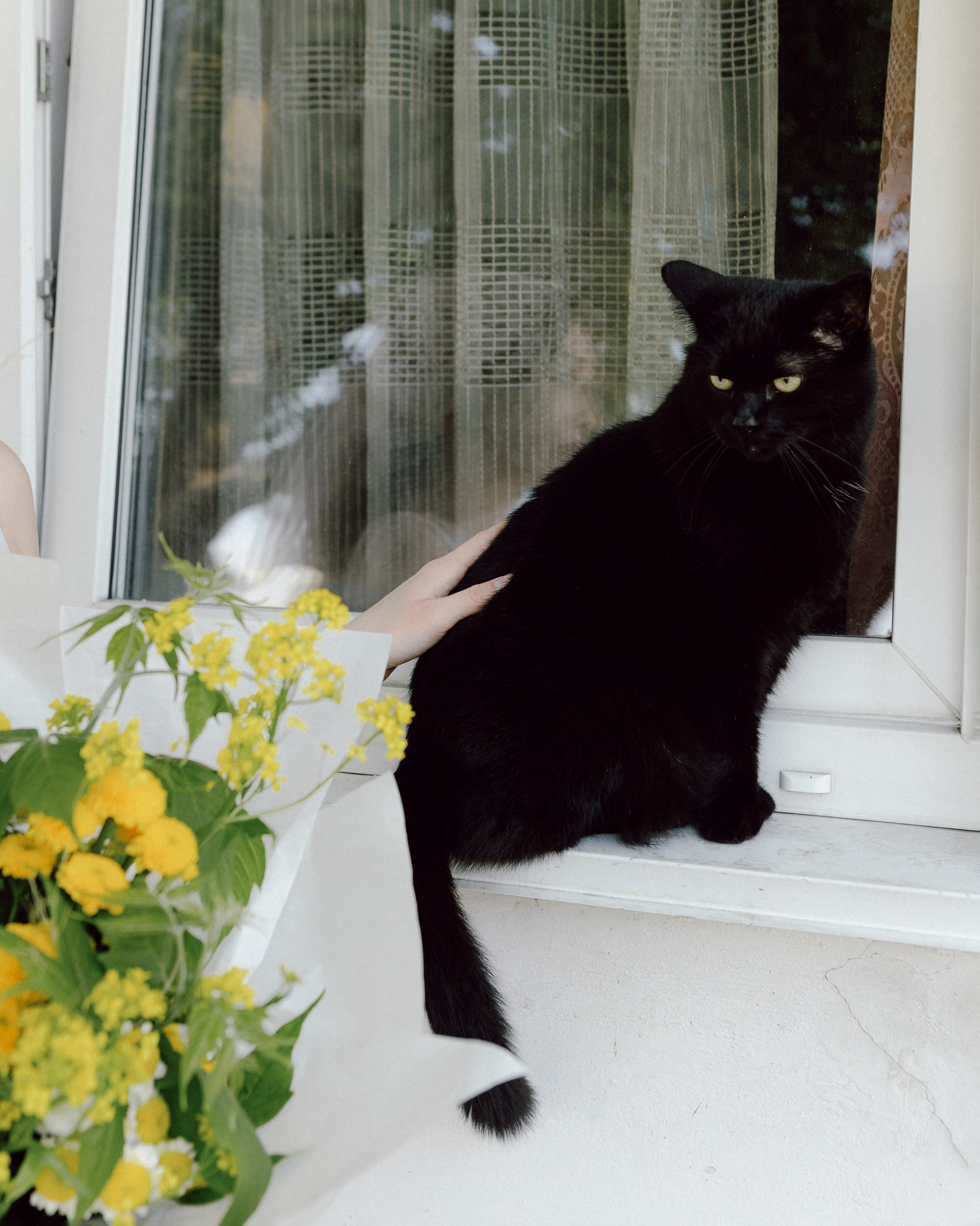 Арина. Анастасия Дубцова. Фотограф в Кемерово