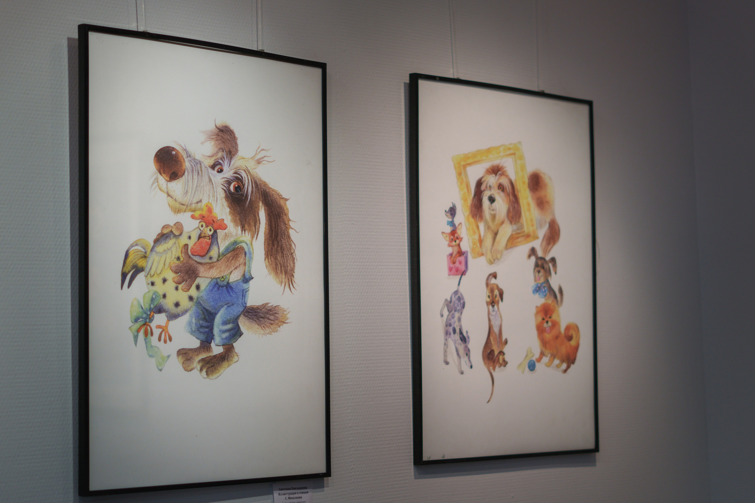 Открытие 11 фестиваля анималистики «Зооарт». Фотограф в Санкт-Петербурге Ибрагимова Алина