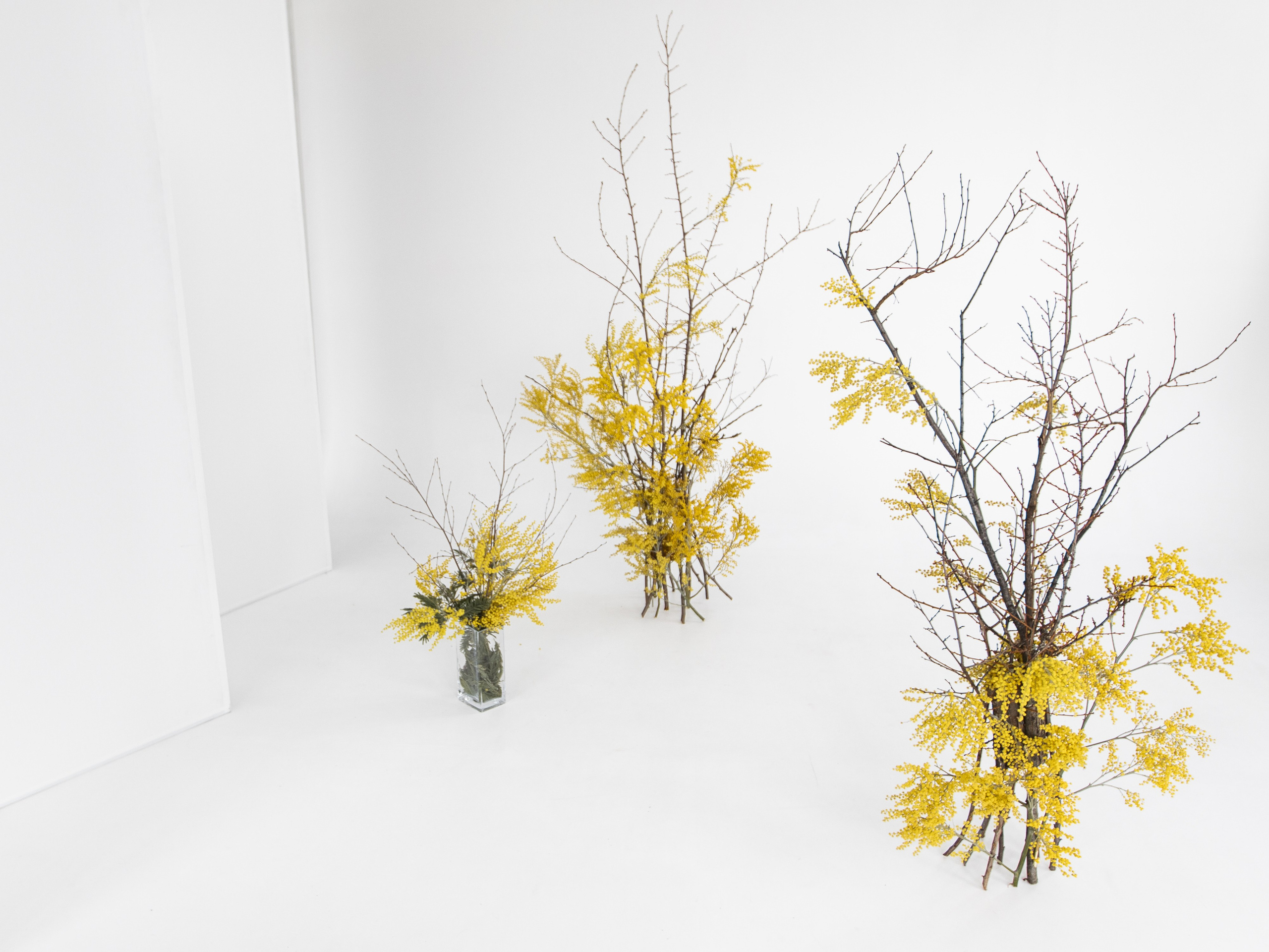 Алёна. Фотограф Алёна Михайлова, Екатеринбург