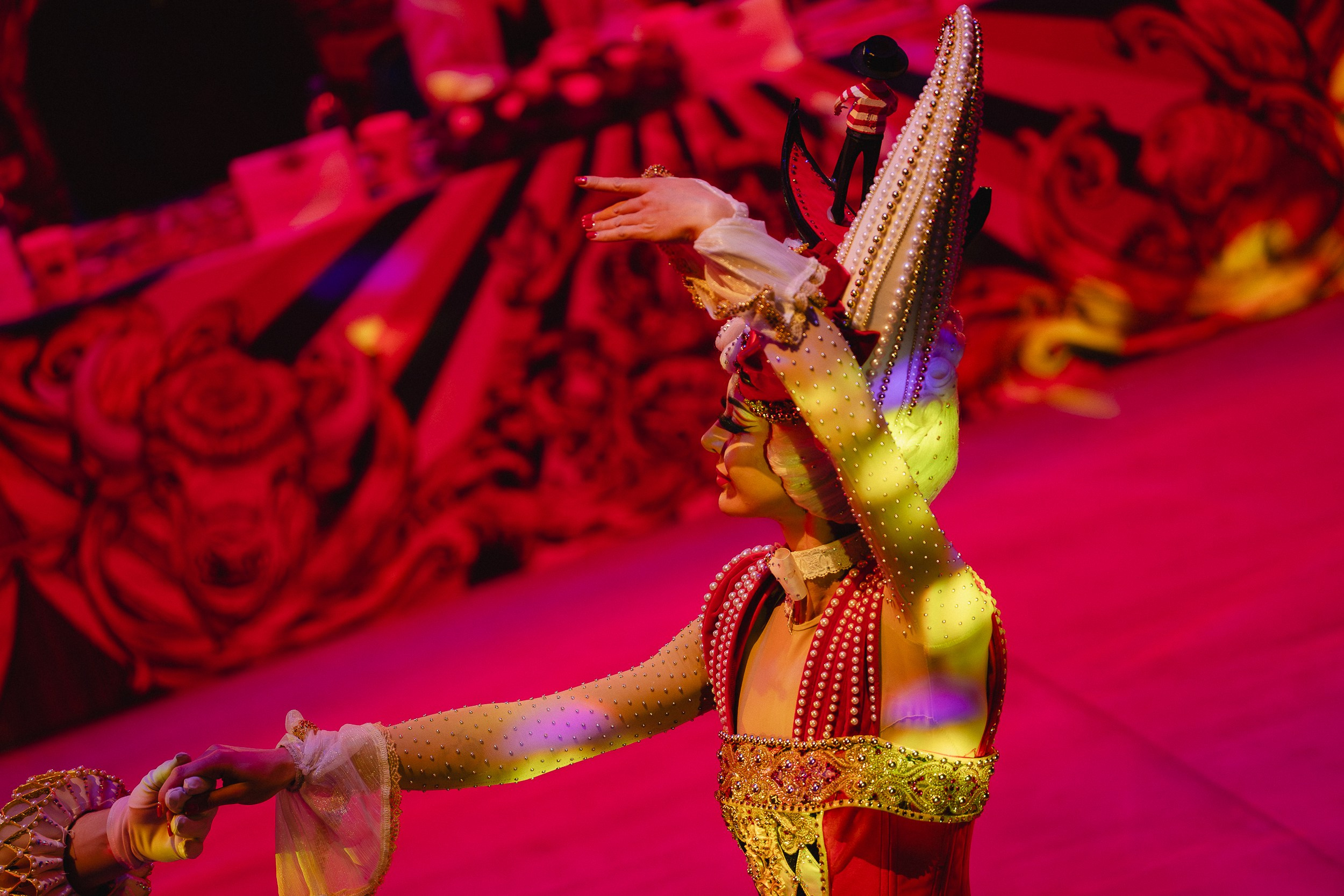 5 Континентов — Пресс-показ в Новосибирском Цирке. Воробьева Ксения — Спортивный и танцевальный фотограф Новосибирск