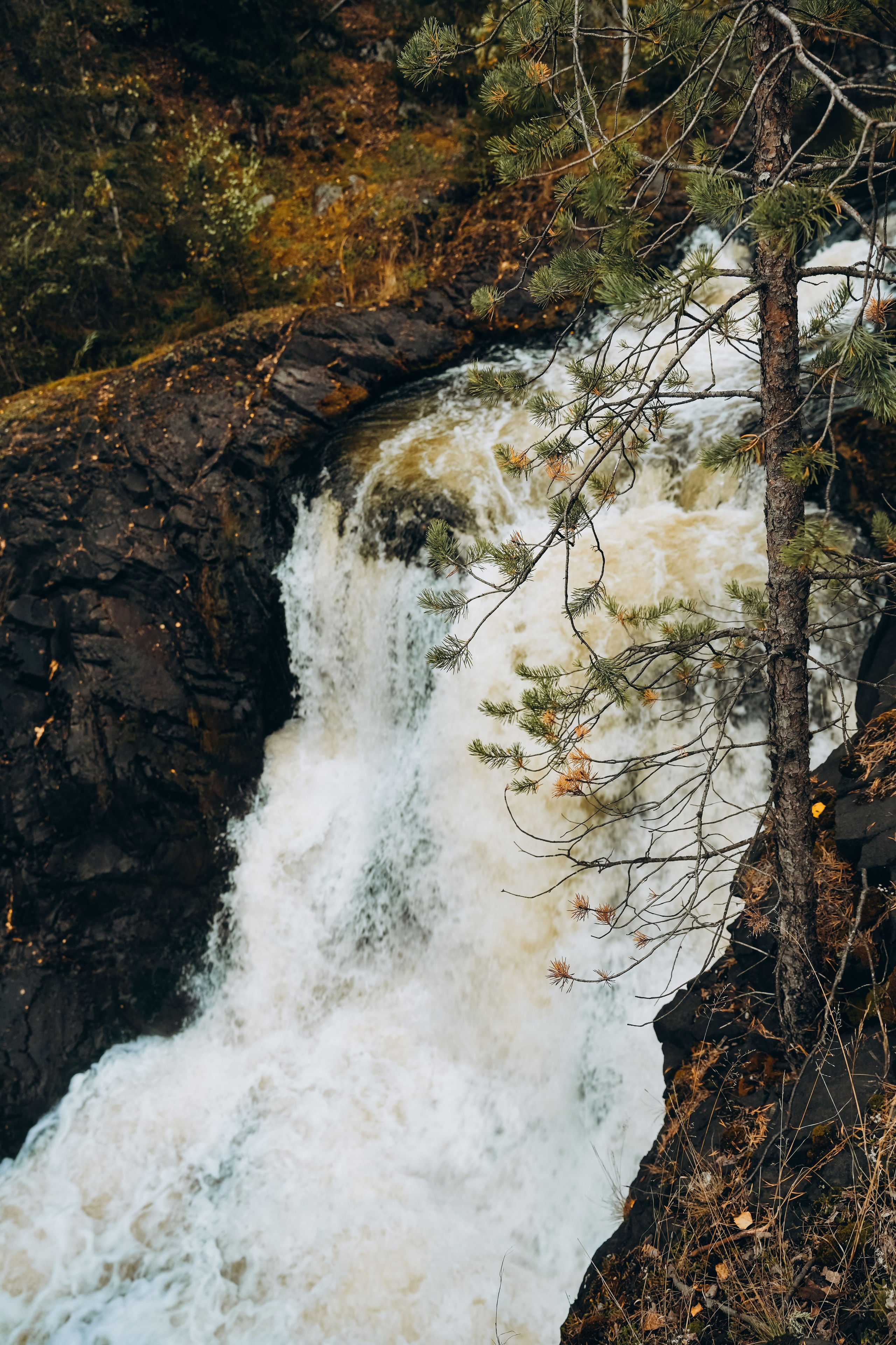 СЕВЕР. Event фотограф Степанова Александра