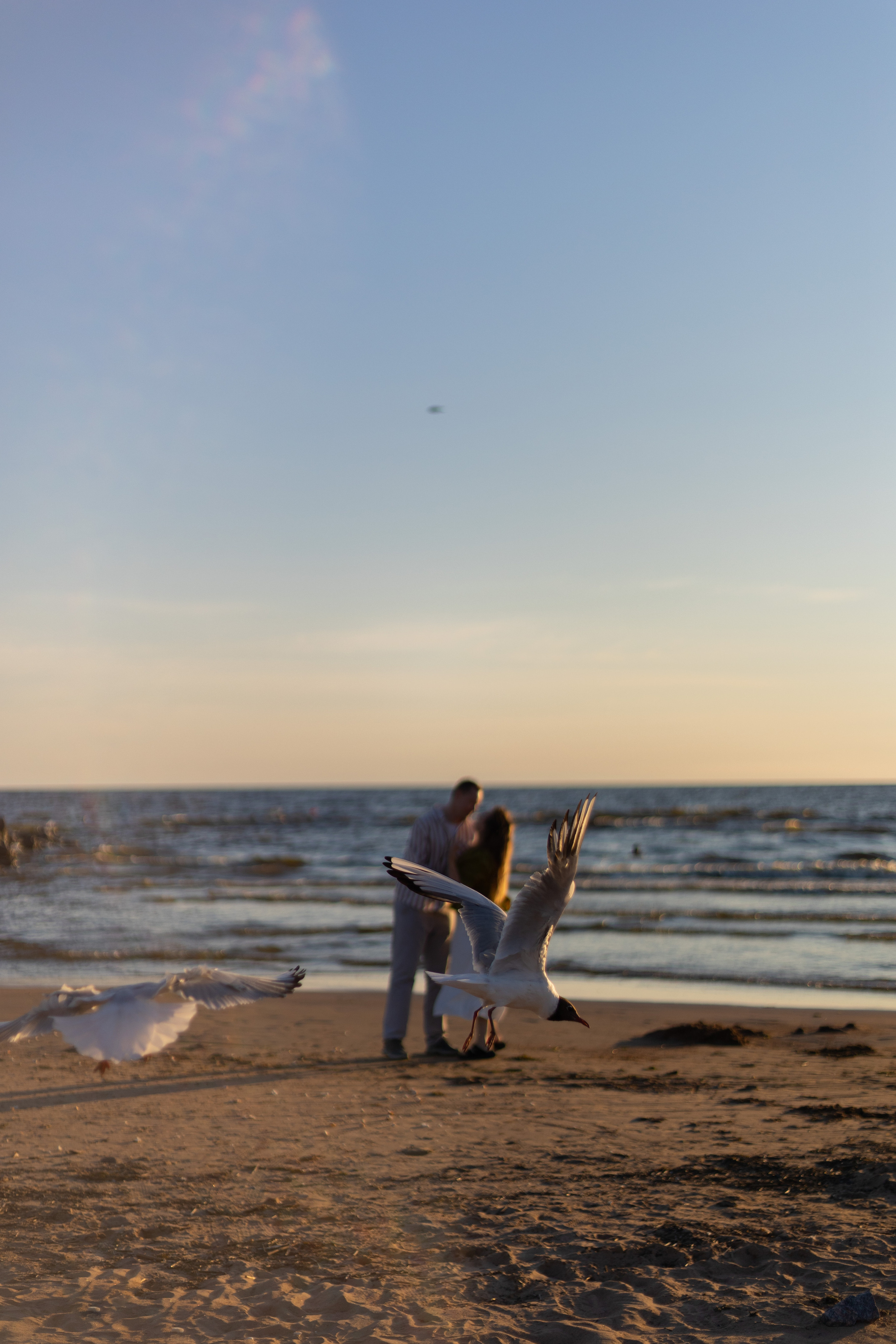 Даша и Ваня. Фотограф Власова Виктория Санкт-Петербург