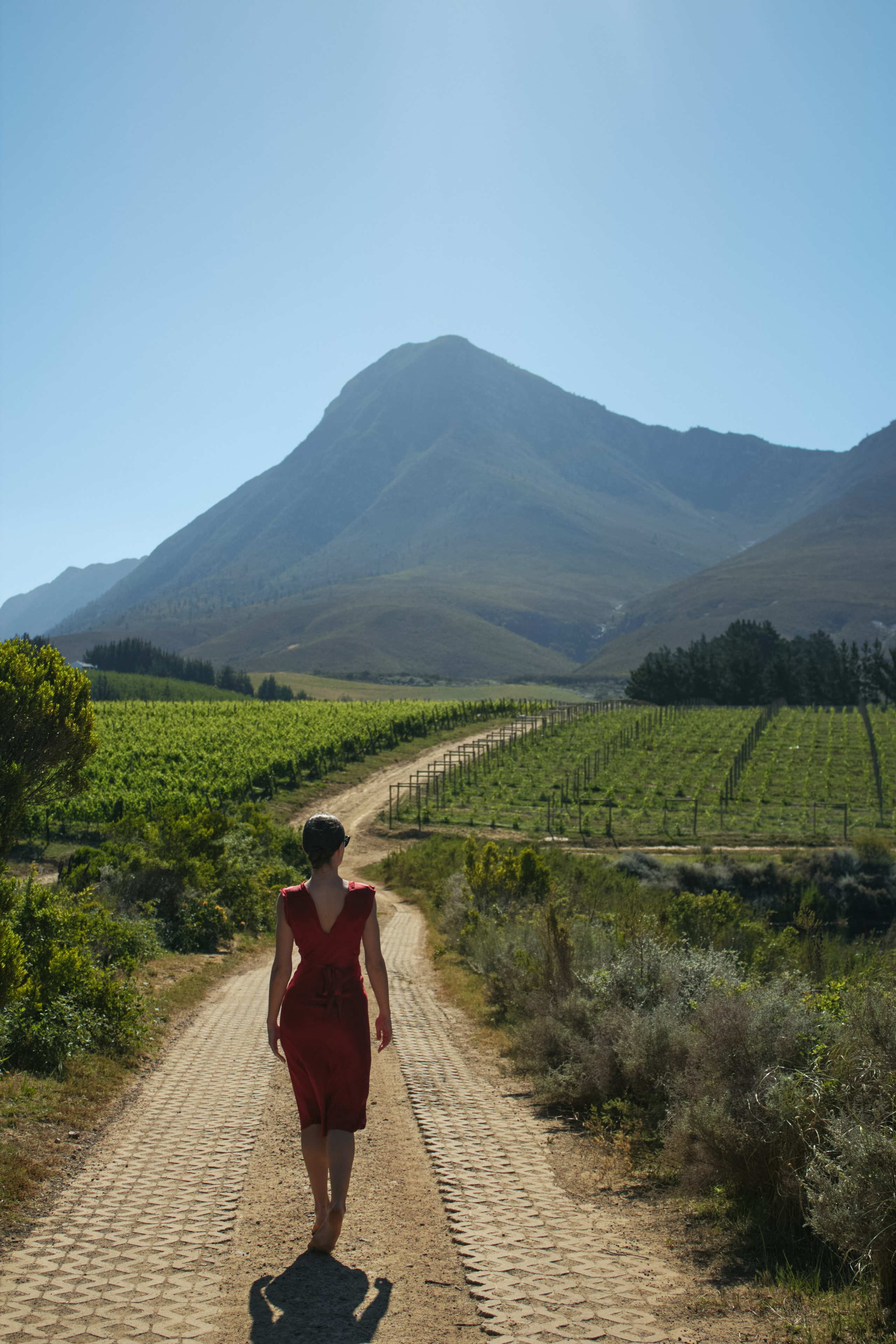 ЮАР. Профессиональный Фотограф во Владимире, в Москве и в Суздале — Полина Романычева