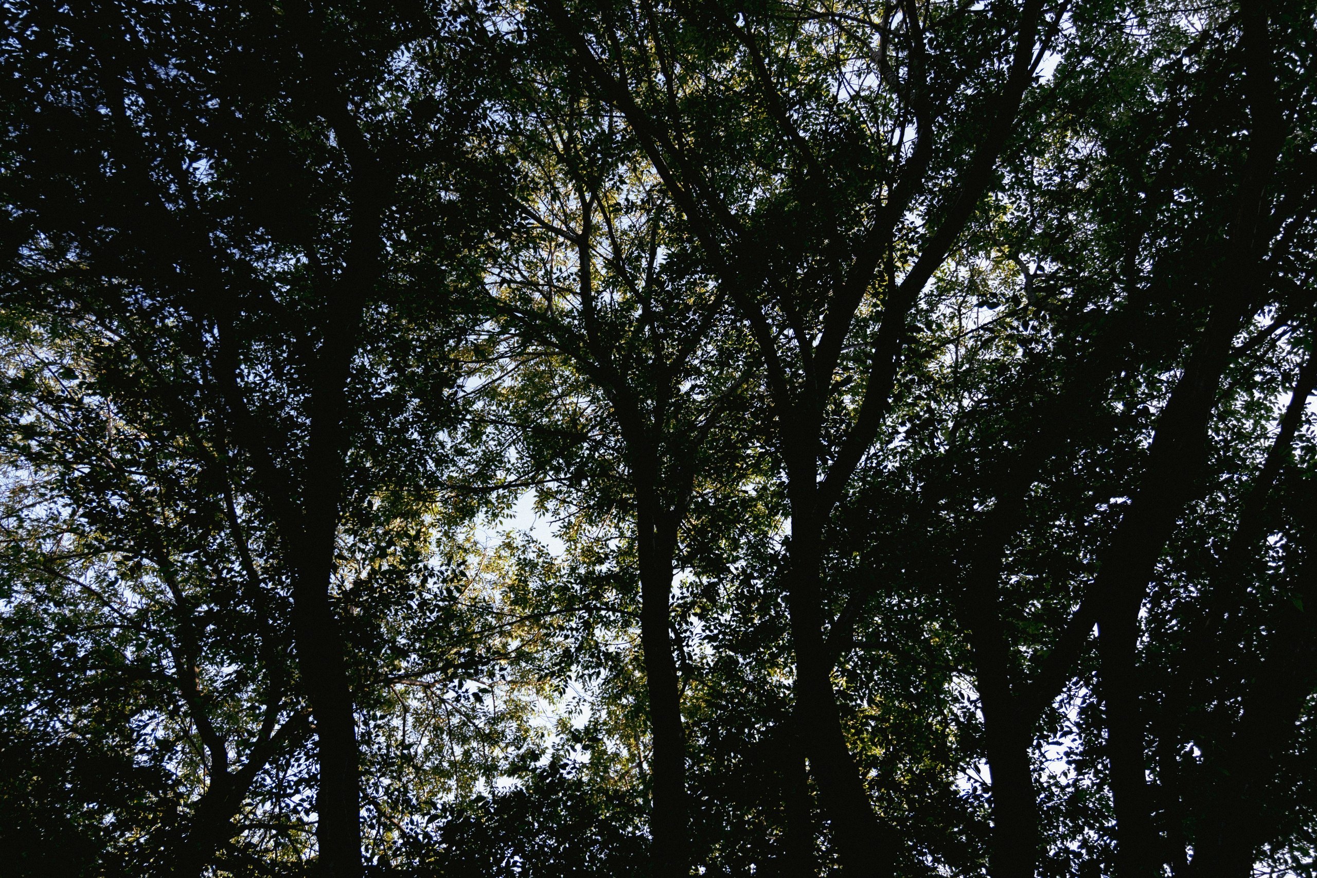 06.07.2025 | Сосновоборск. Kuznetsov | Фотограф в Красноярске